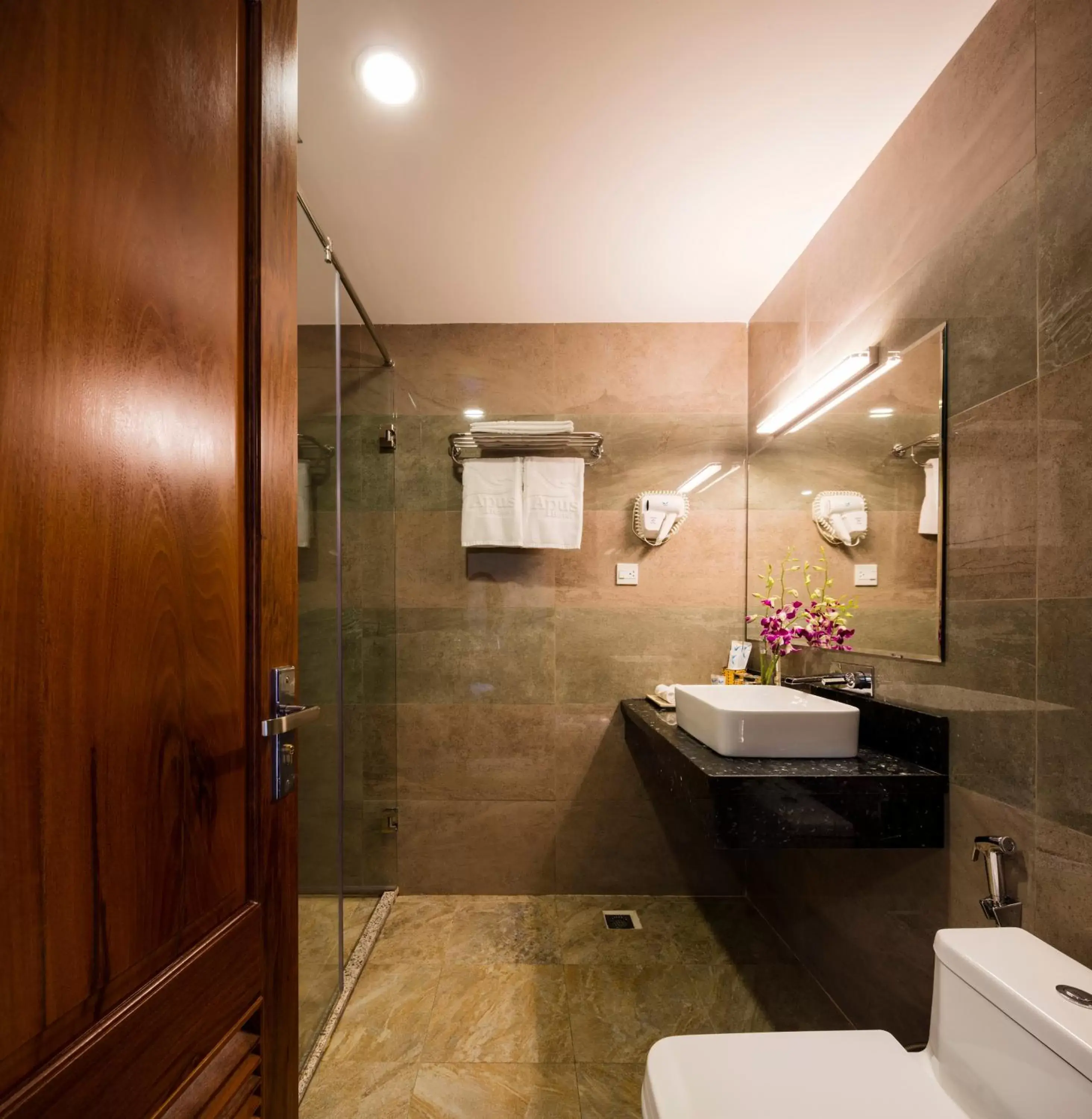 Shower, Bathroom in Apus Hotel