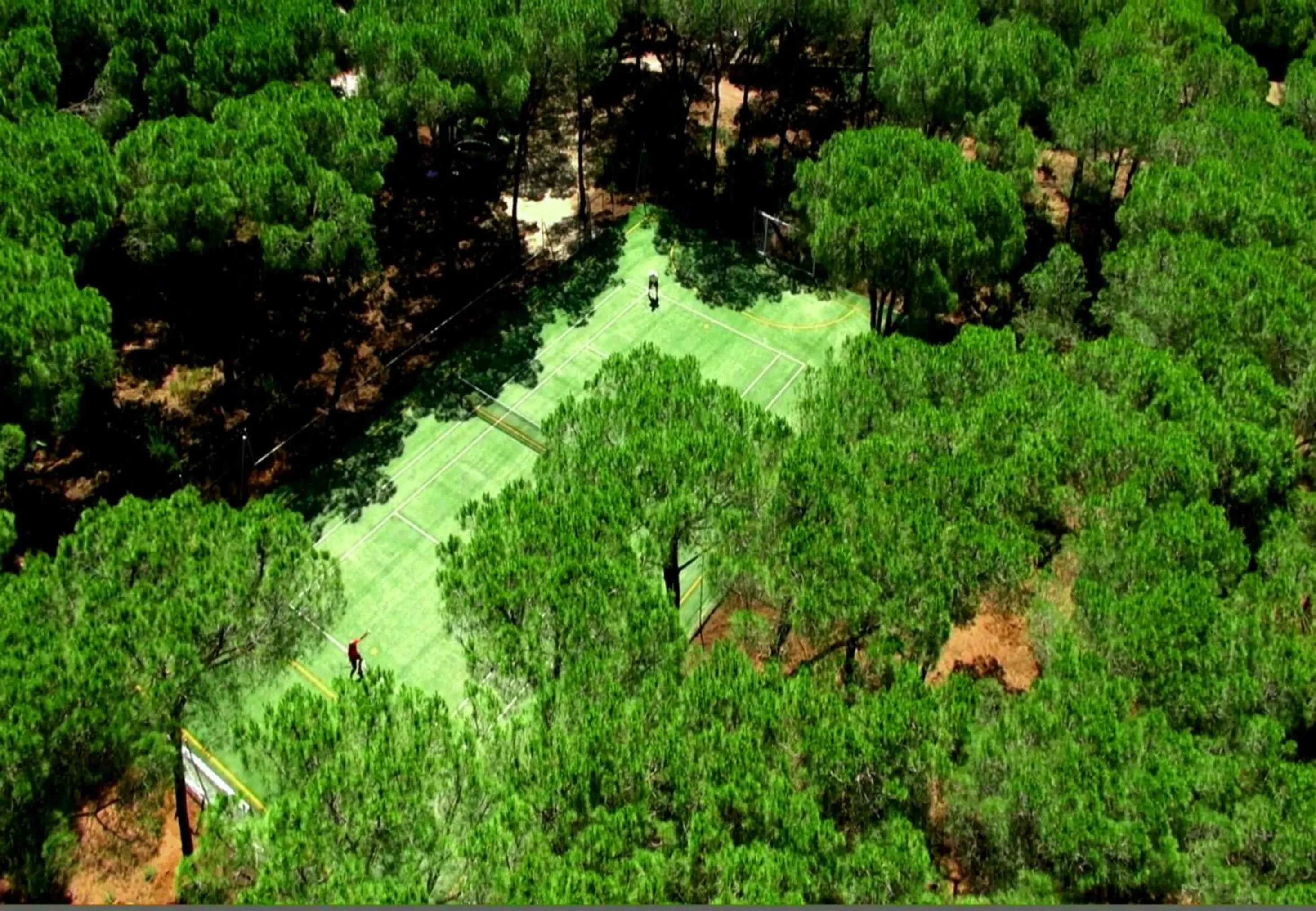 Garden in Hotel Dei Pini