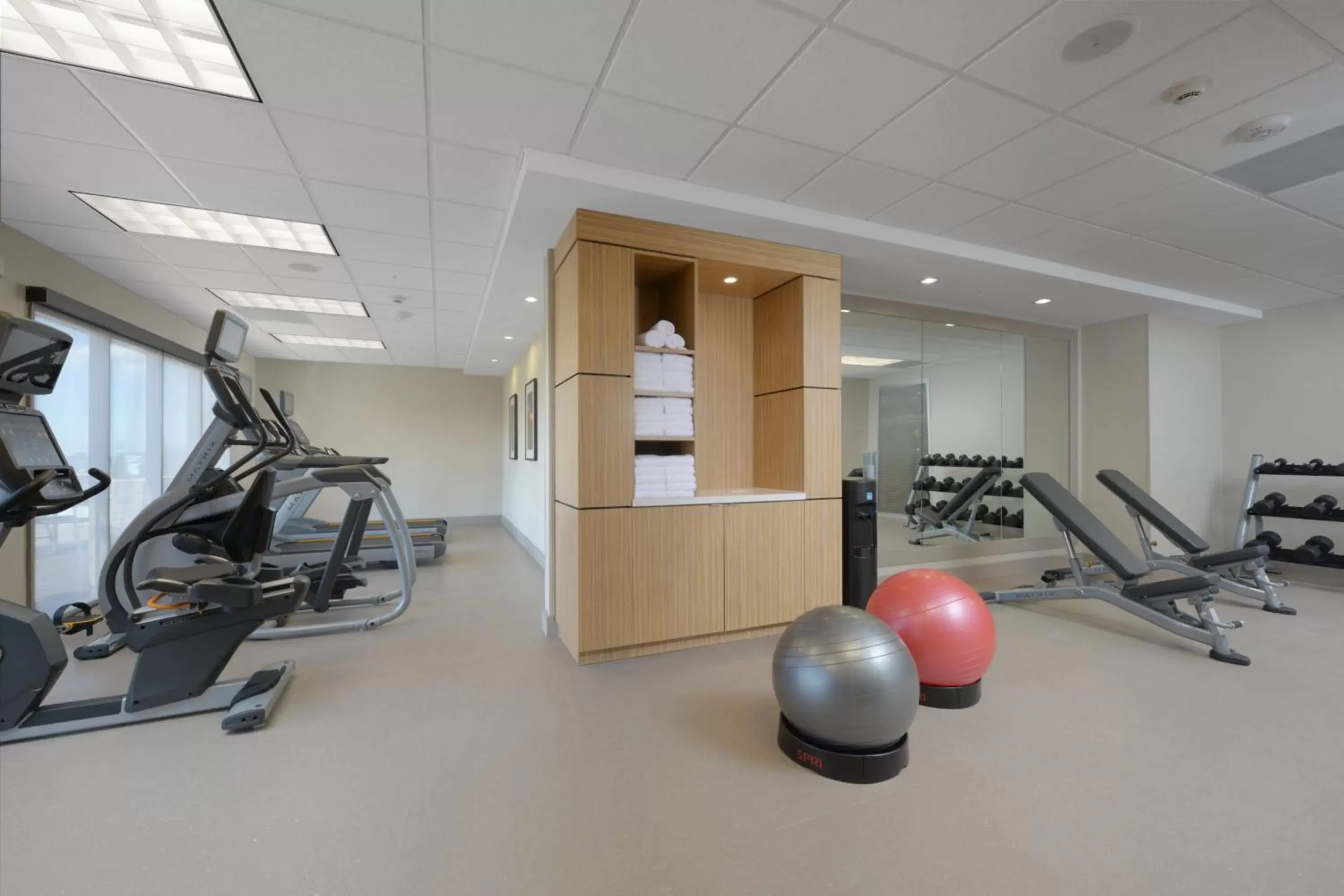 Fitness centre/facilities, Fitness Center/Facilities in TownePlace Suites by Marriott Denver South/Lone Tree