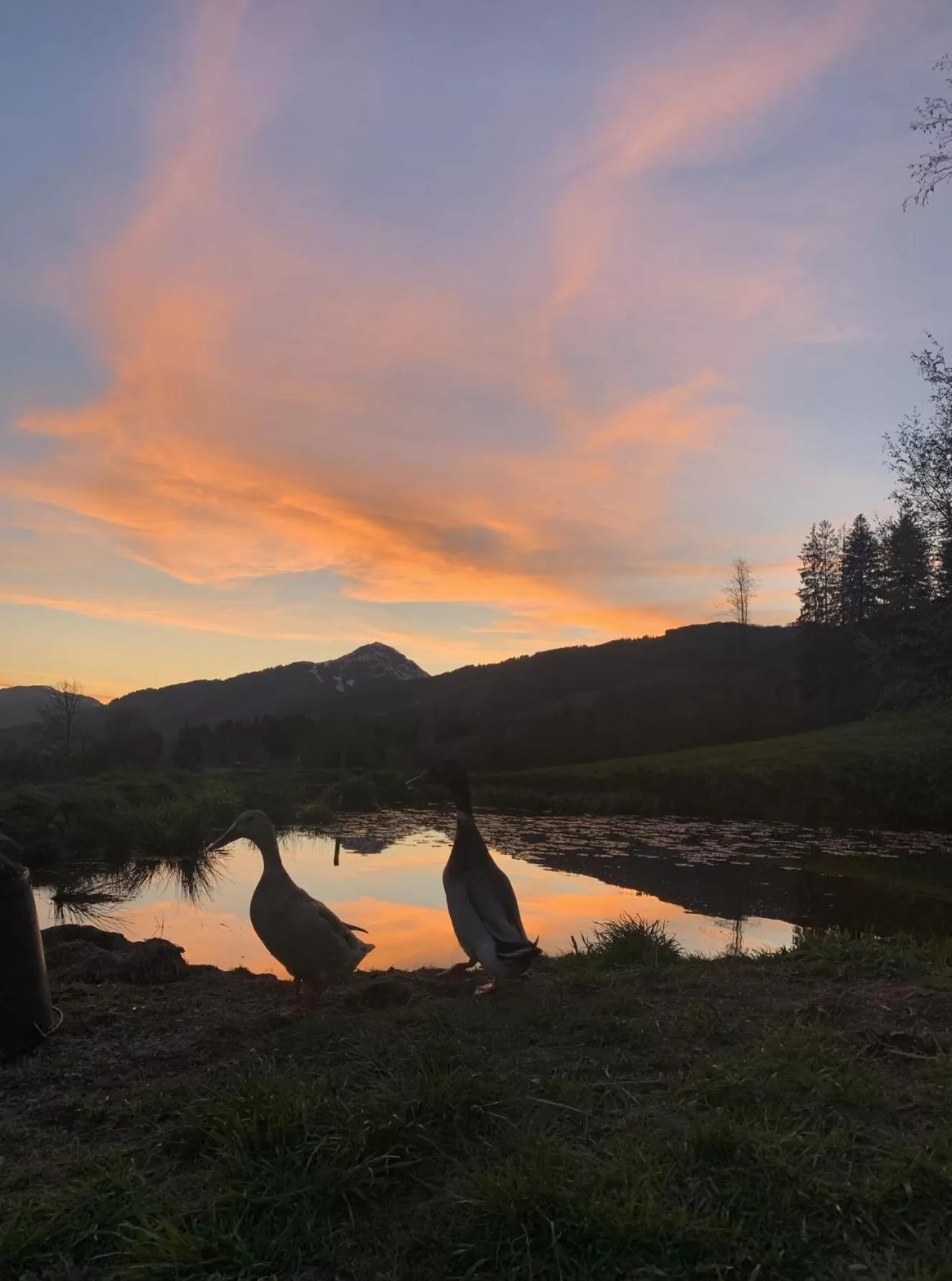 Sunset in Hotel Garni Wieshof