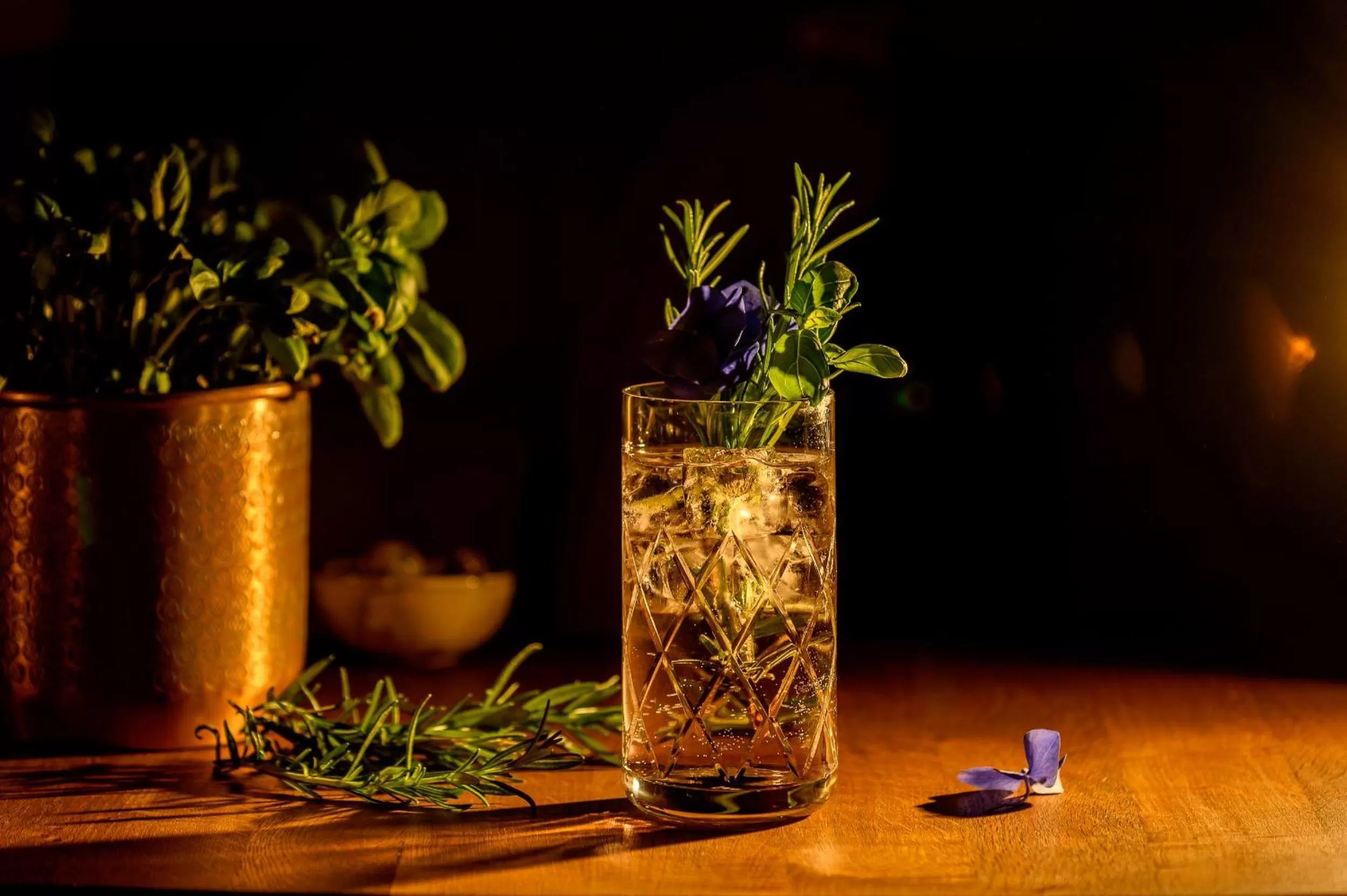 Lounge or bar in Parkhotel Rothof