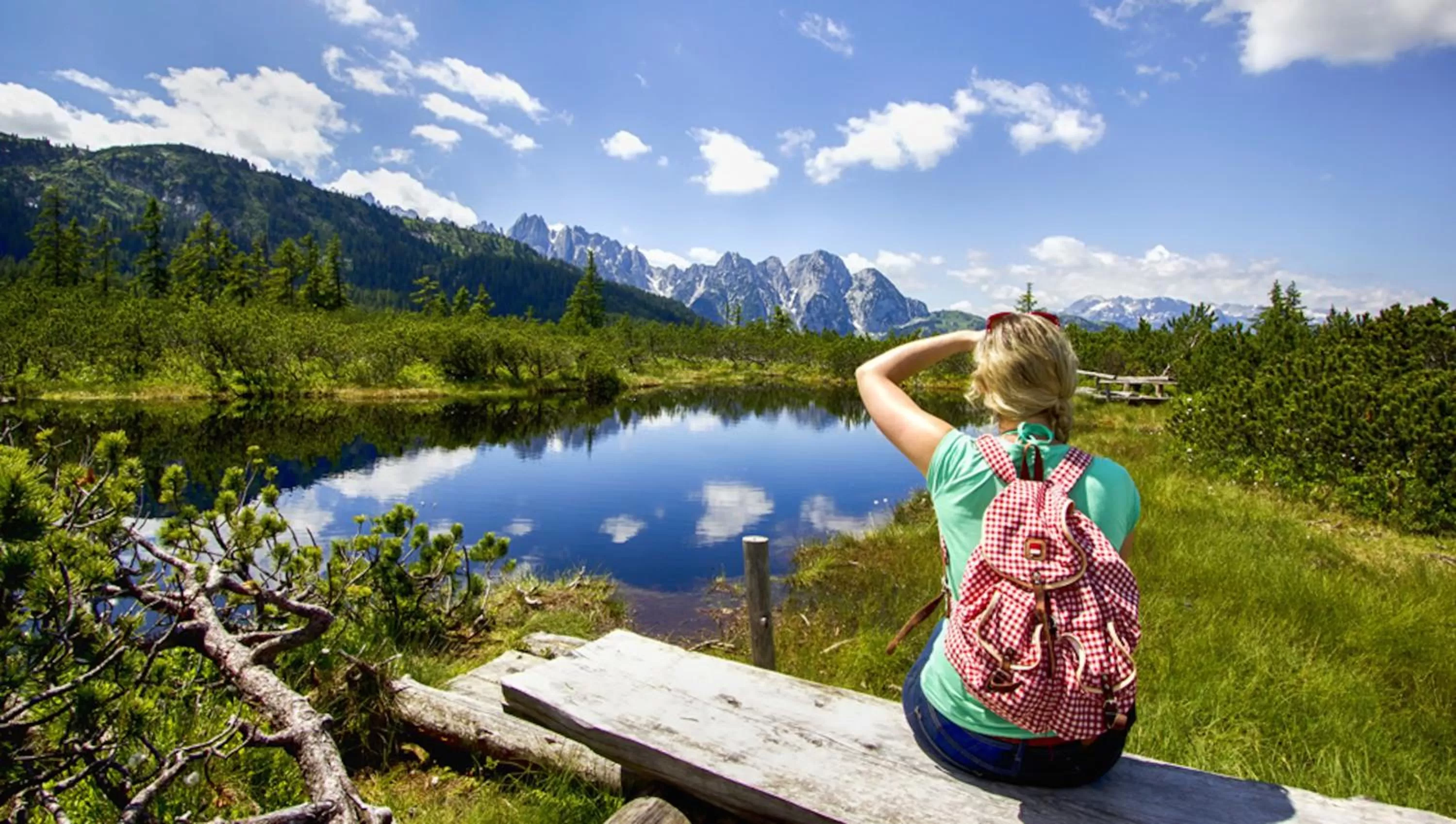 Day in Hotel Sieghard Zillertal