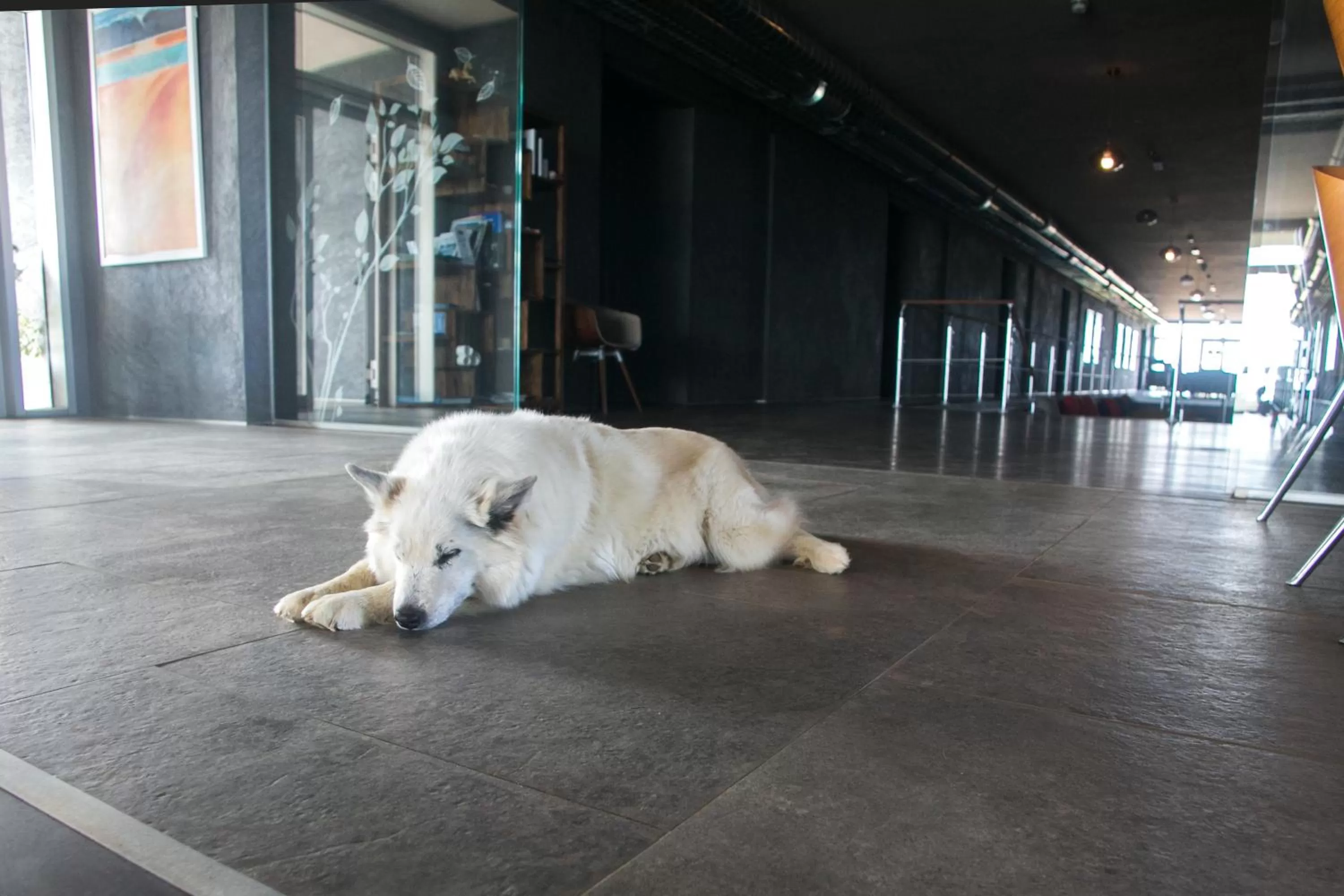 Lobby or reception in 360 Hotel & Thermal Baths