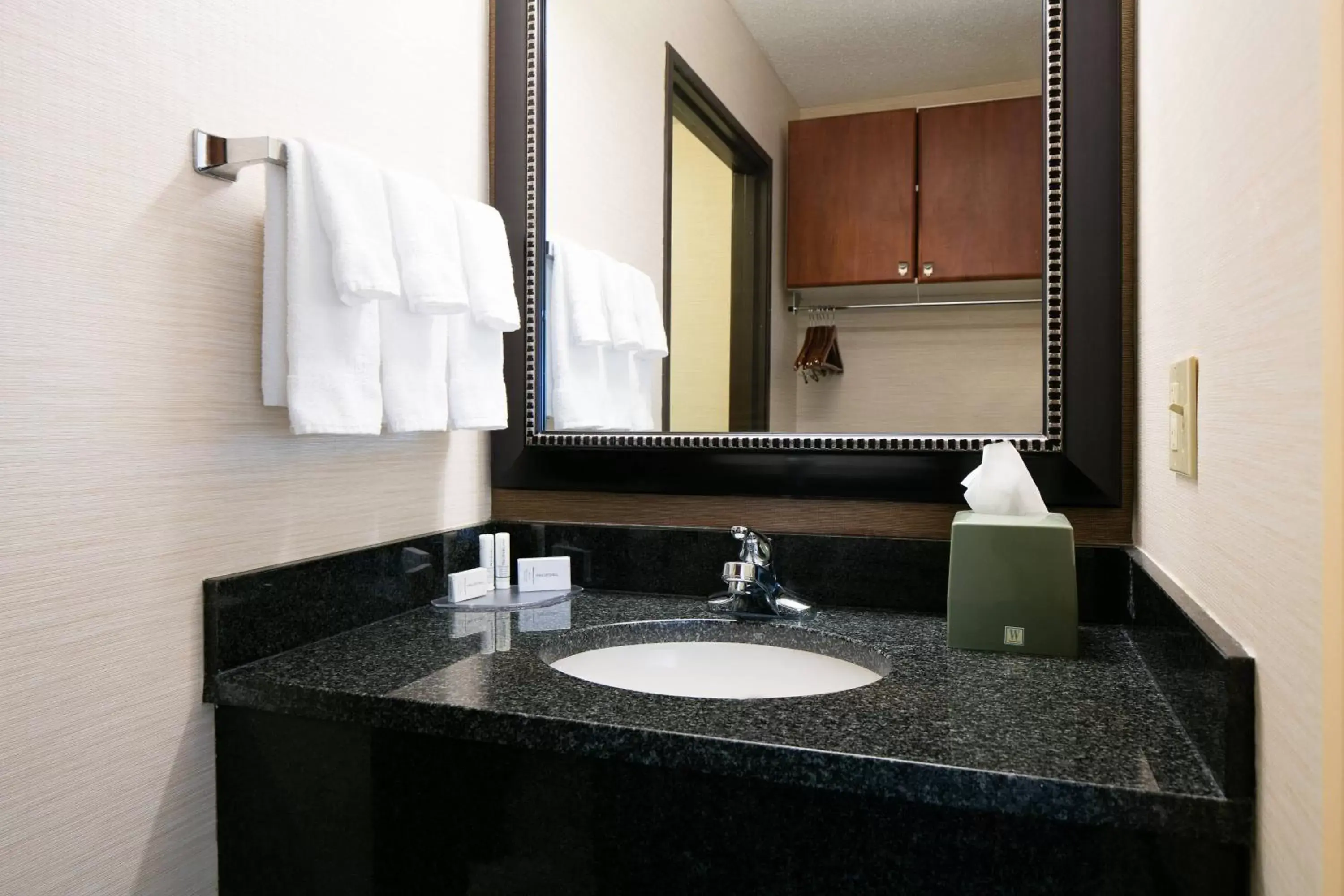 Bathroom in Fairfield Inn & Suites Kansas City Airport