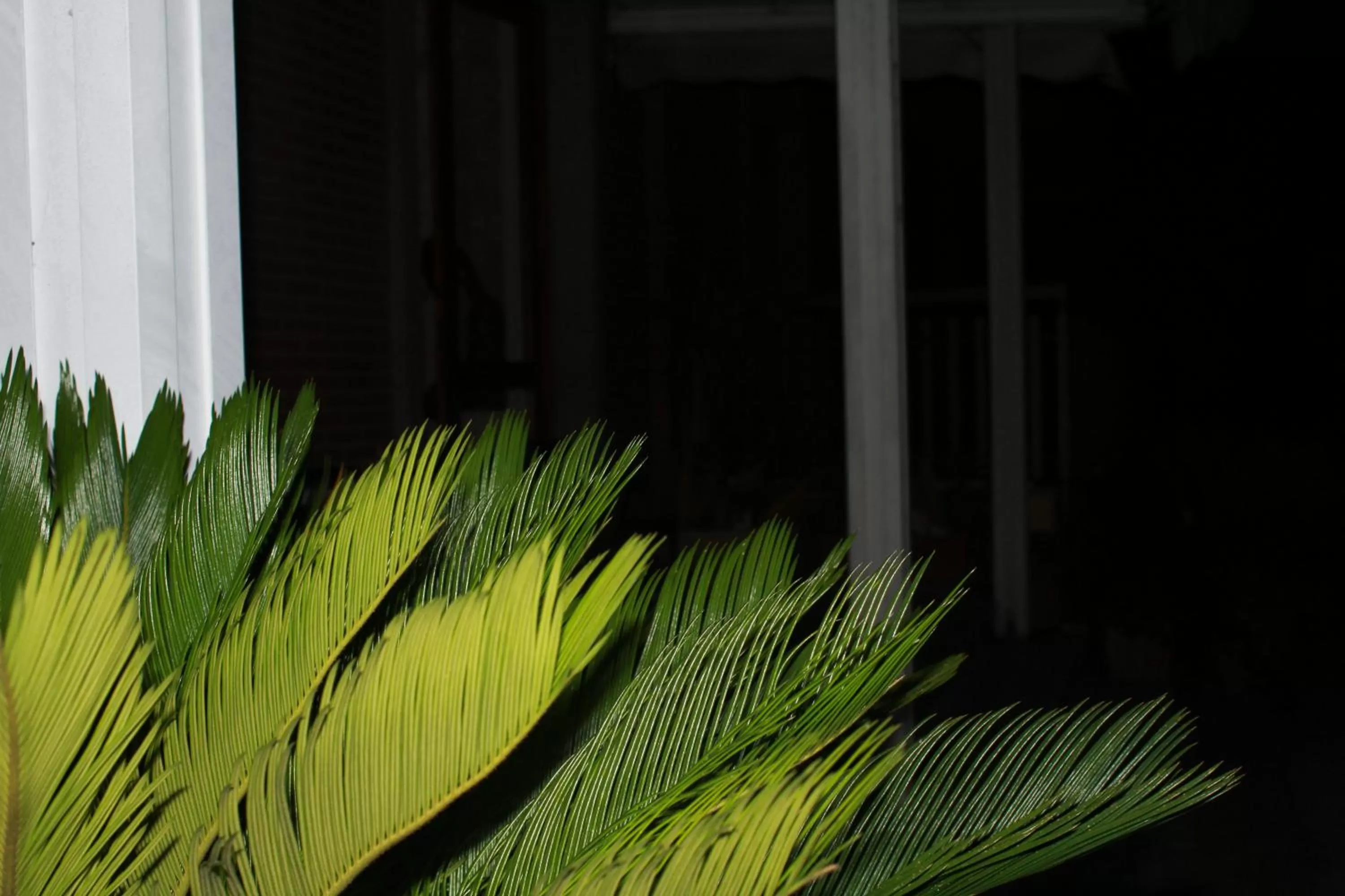 Other in Hotel Diana