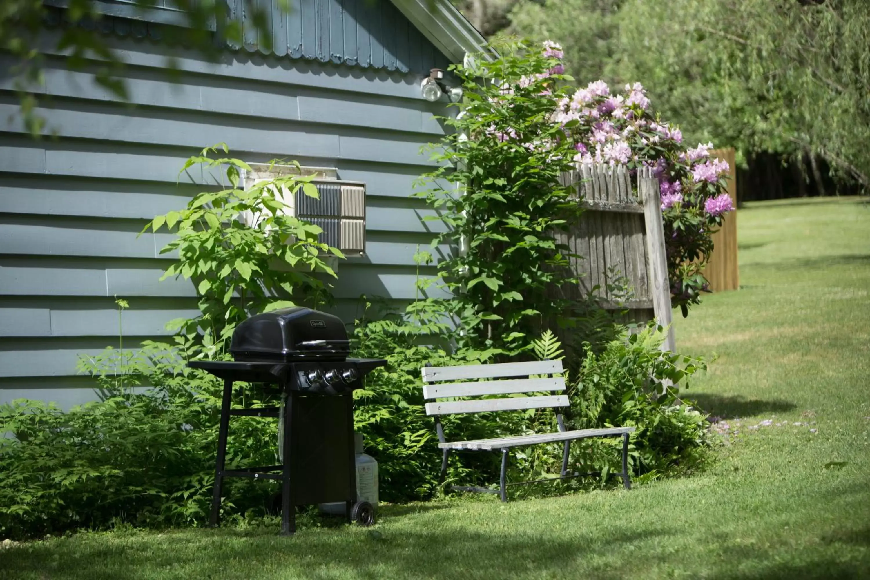 BBQ facilities, Garden in Governor's Rock Motel