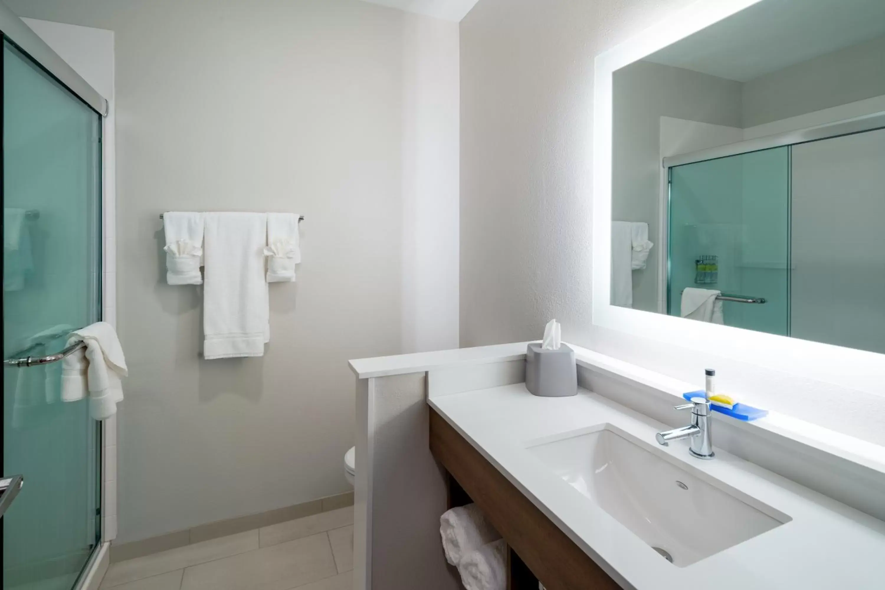 Bathroom in Holiday Inn Express & Suites - St Peters, an IHG Hotel