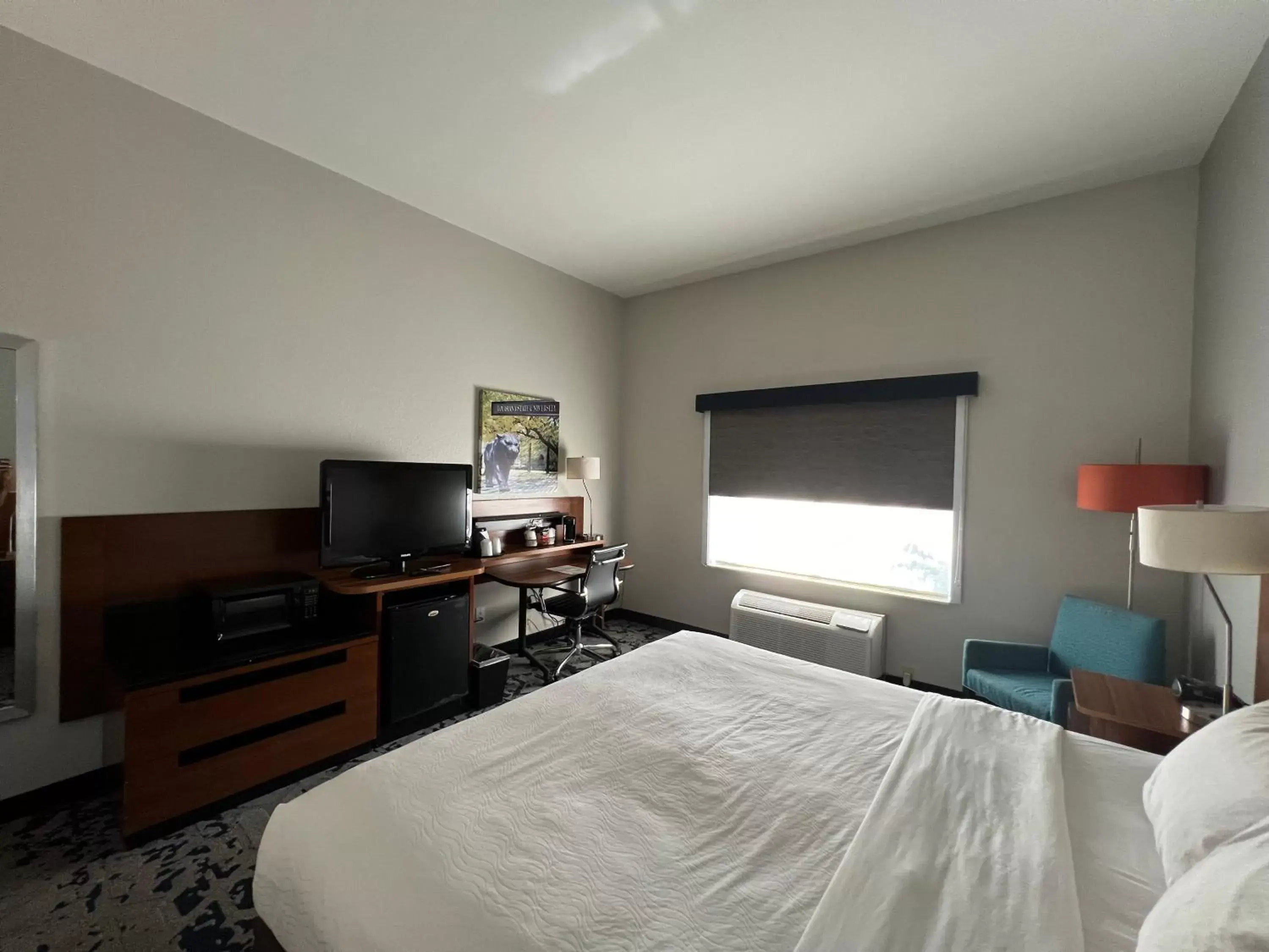 Bedroom, TV/Entertainment Center in Best Western LSU/Medical Corridor Inn & Suites