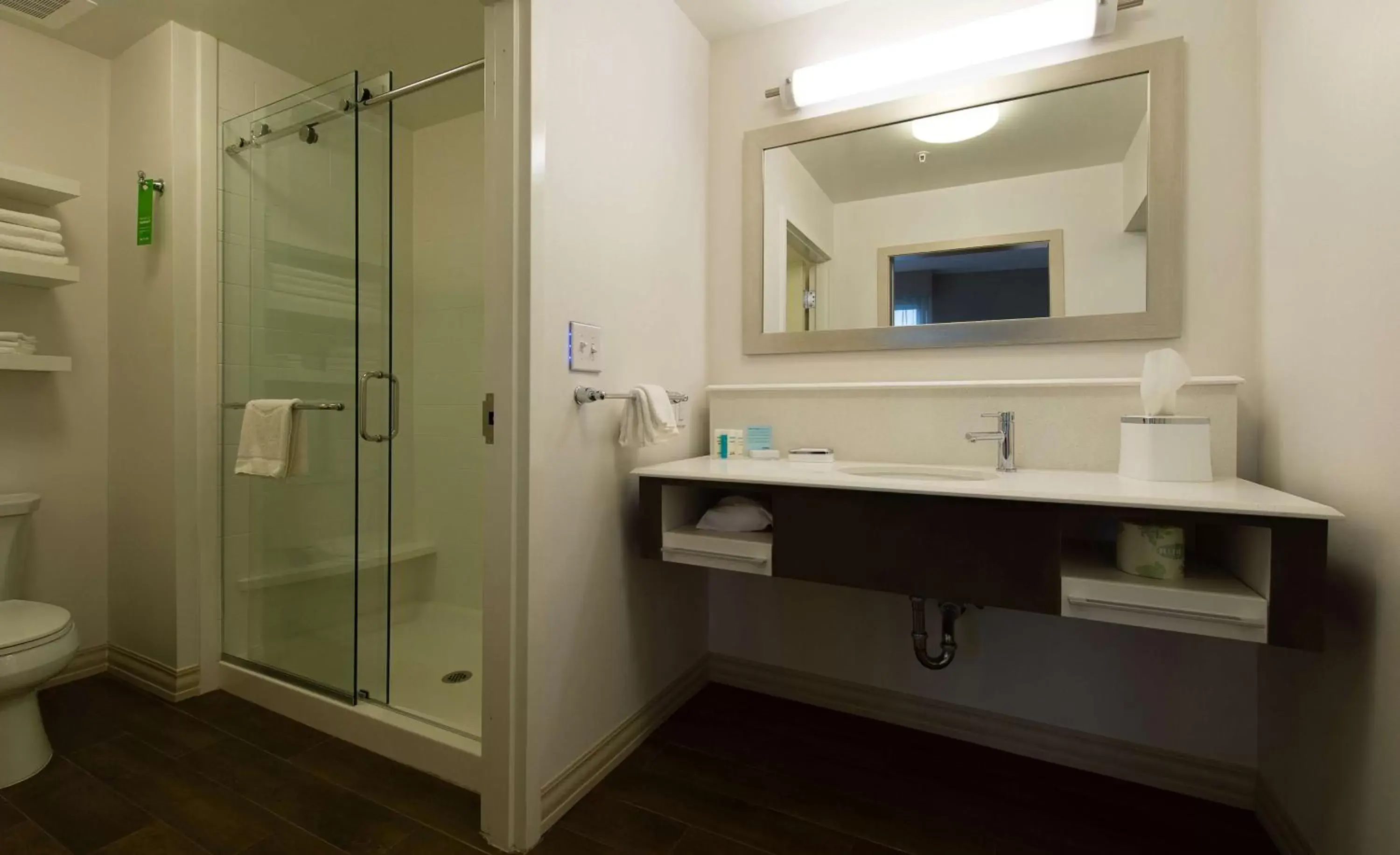 Bathroom in Hampton Inn & Suites Orangeburg, SC