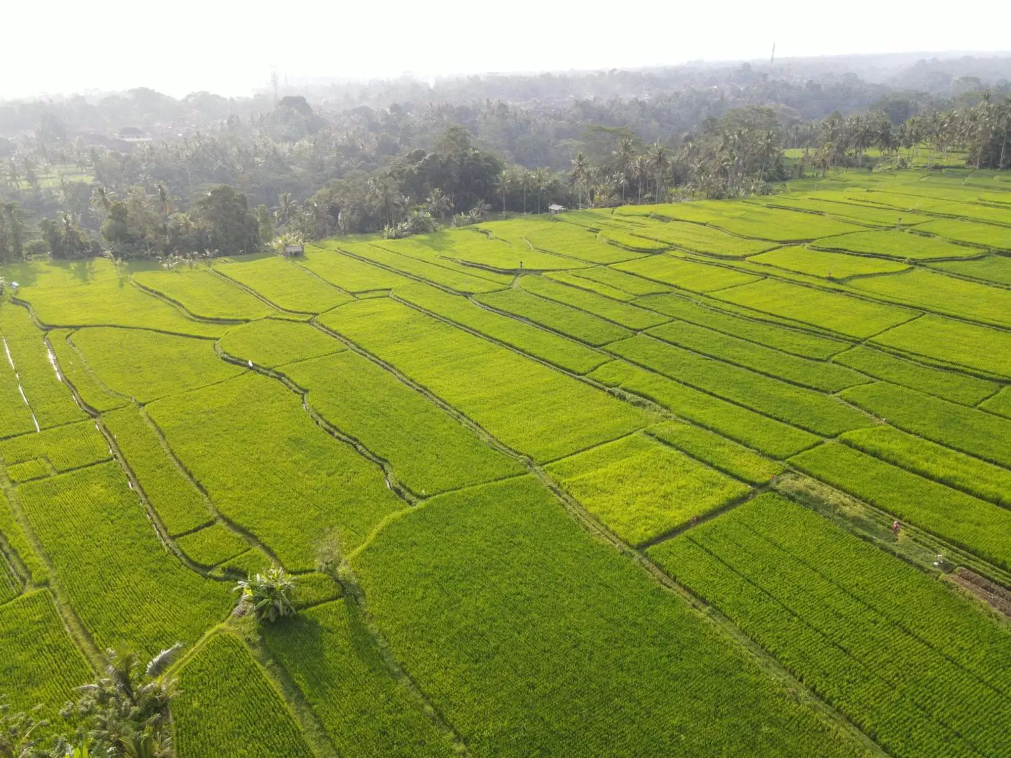 Natural landscape, Other Activities in The Sun of Granary Resort and Villas