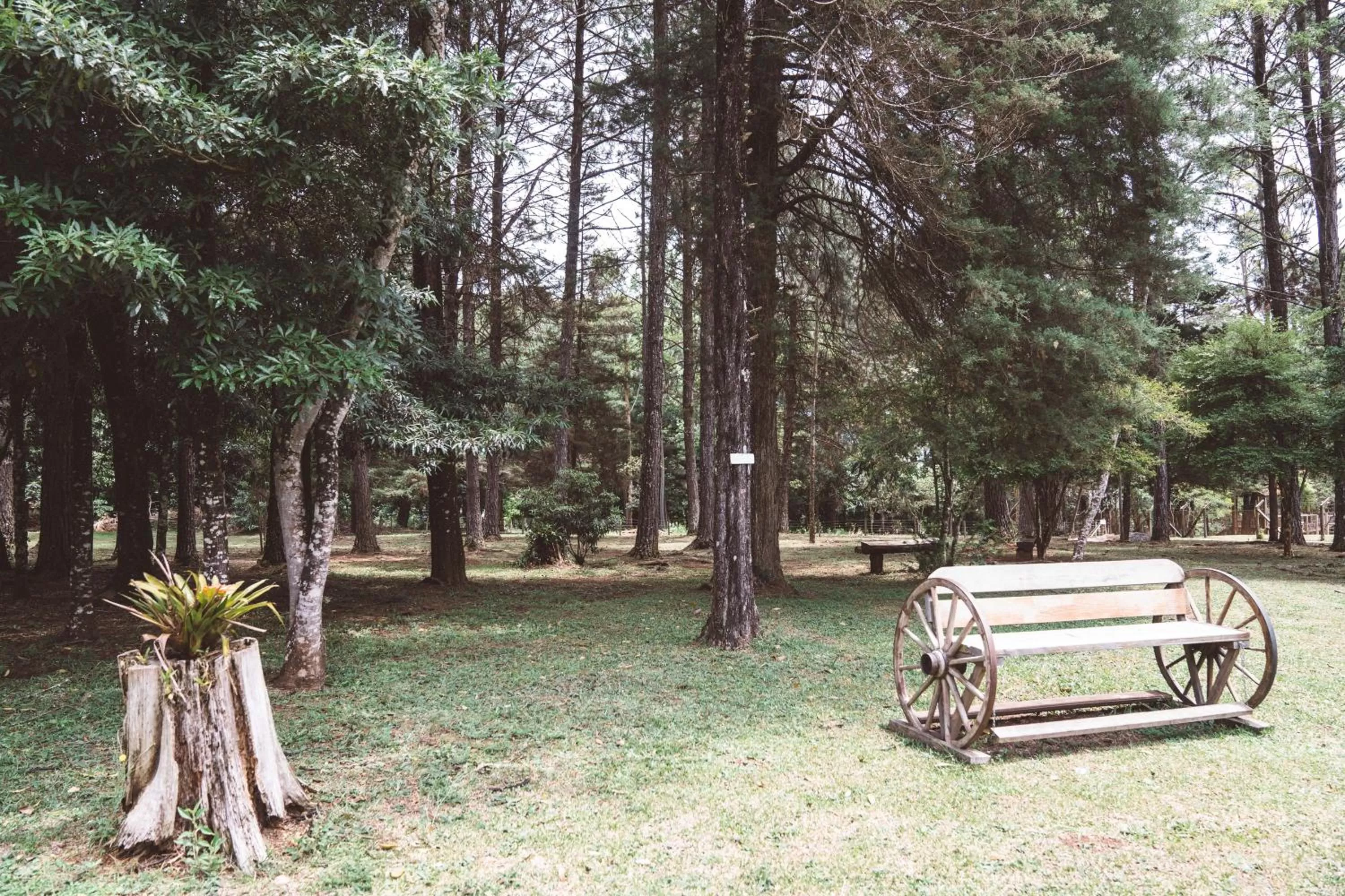 Garden in Pousada Betânia