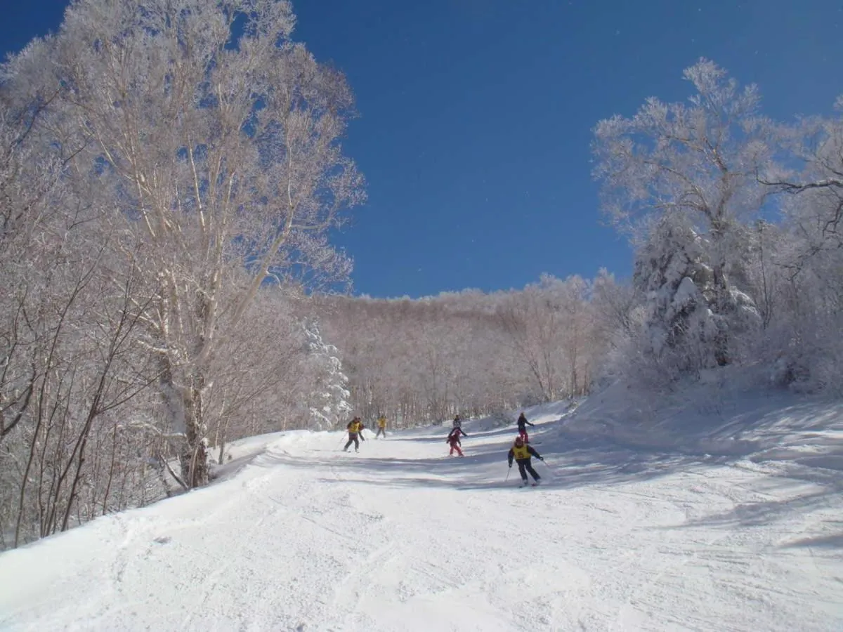 Off site in Hotel Yudanaka