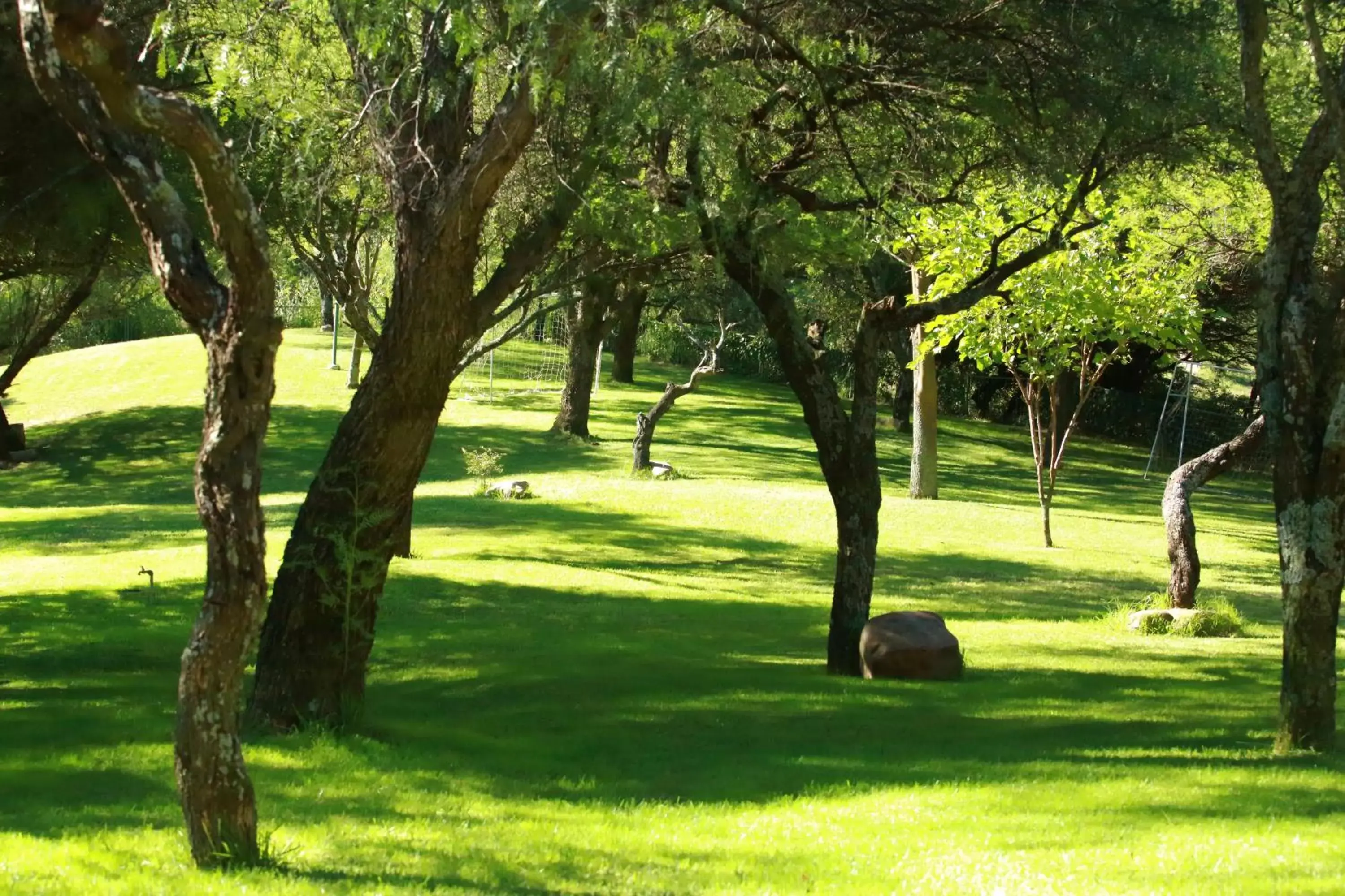 Garden view, Garden in Hotel Los Parrales