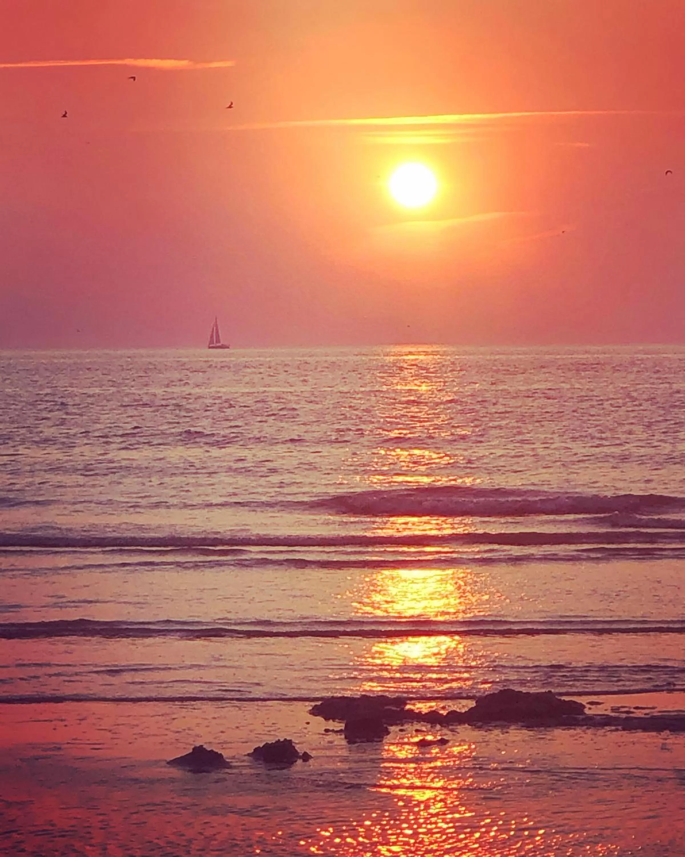 Sunrise/Sunset in Hart van Petten