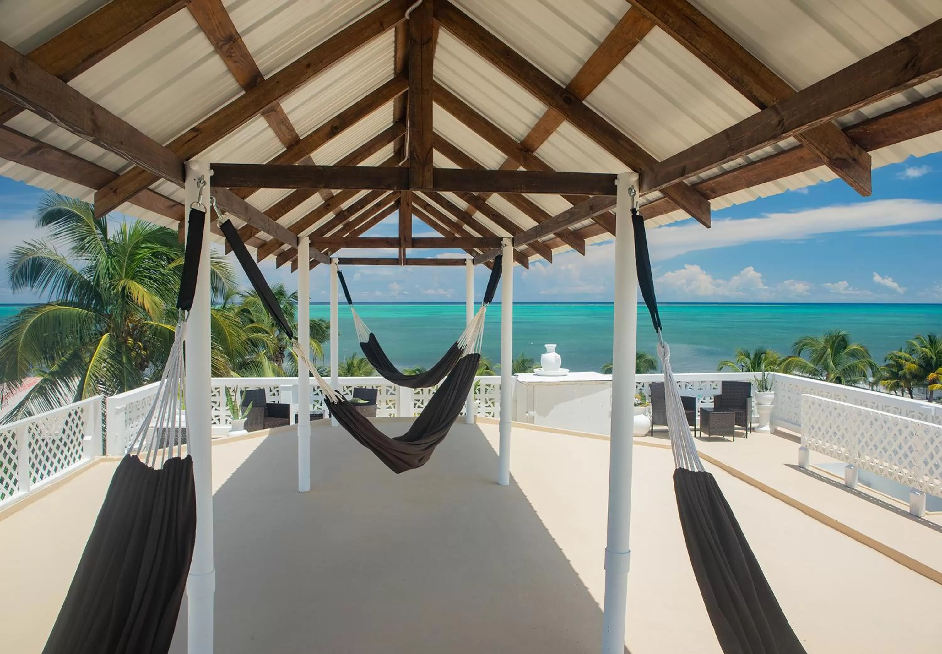 Balcony/Terrace in Treetops Hotel