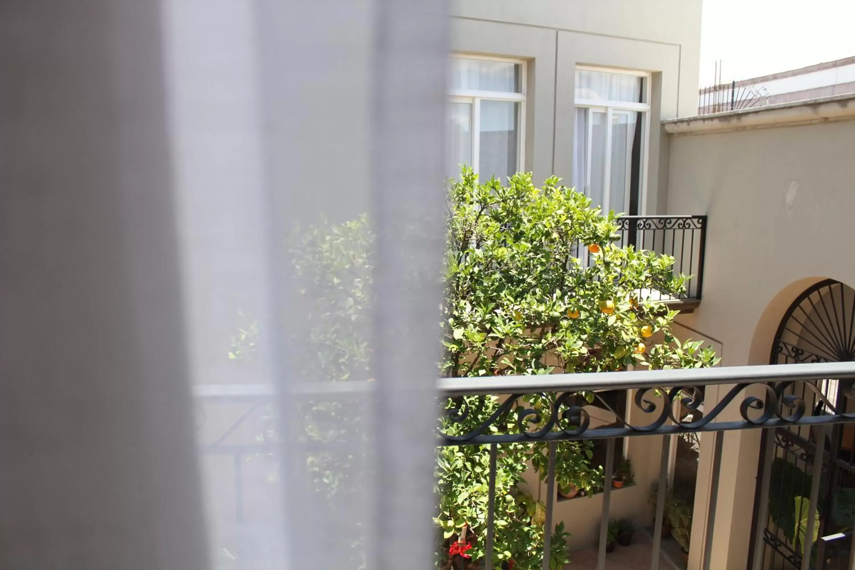 Inner courtyard view, Balcony/Terrace in Hotel Mamá Carlota