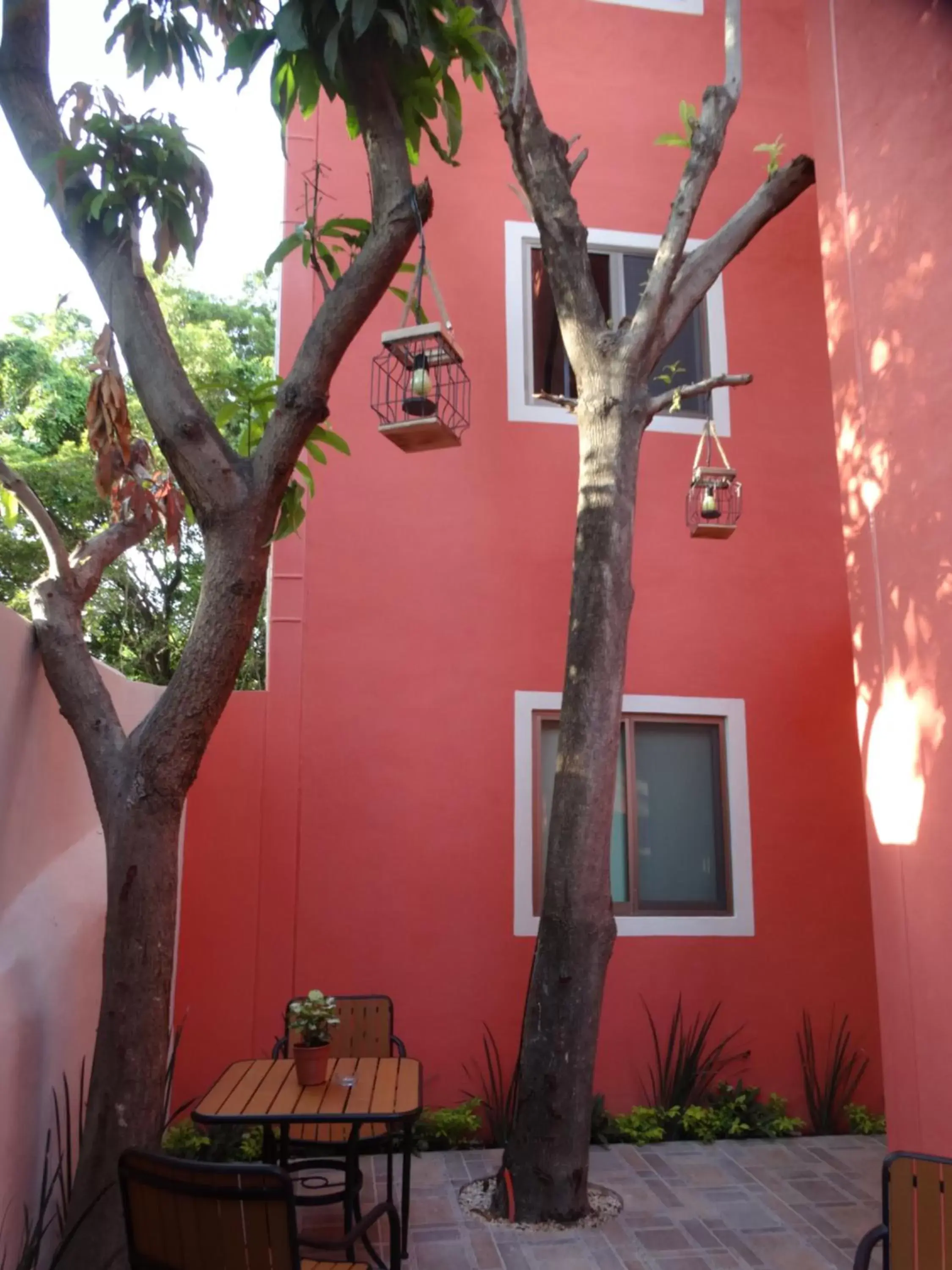 Patio in Casa San Juan