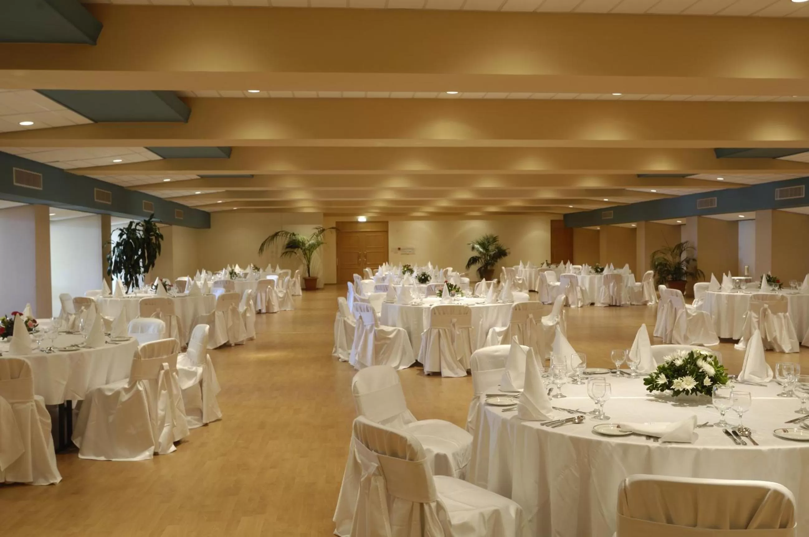 Business facilities in Constantinou Bros Athena Royal Beach Hotel
