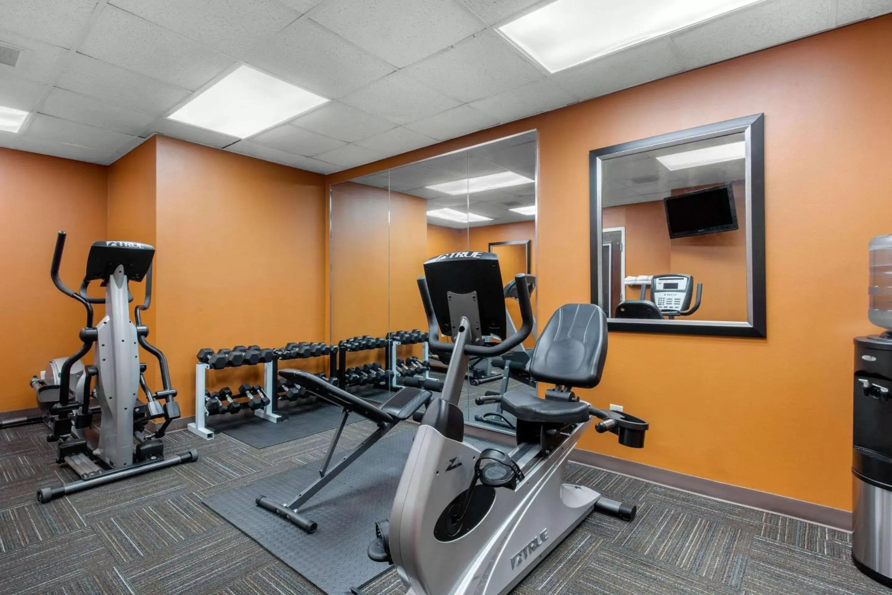 Fitness centre/facilities, Fitness Center/Facilities in Comfort Inn Horn Lake - Southaven