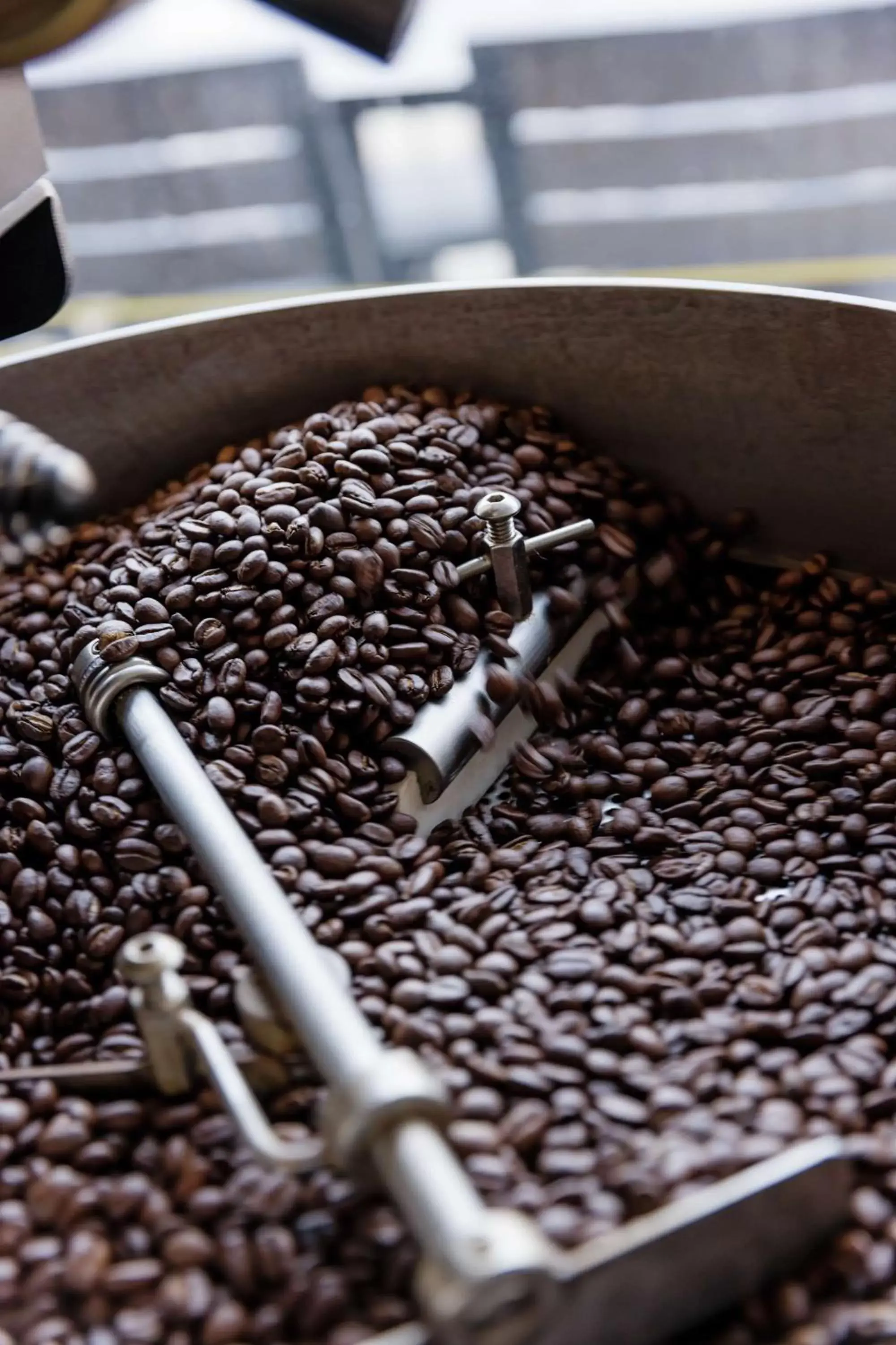 Restaurant/places to eat in The Fin Hotel, Tapestry Collection by Hilton Restaurant/places to eat in The Fin Hotel, Tapestry Collection by Hilton