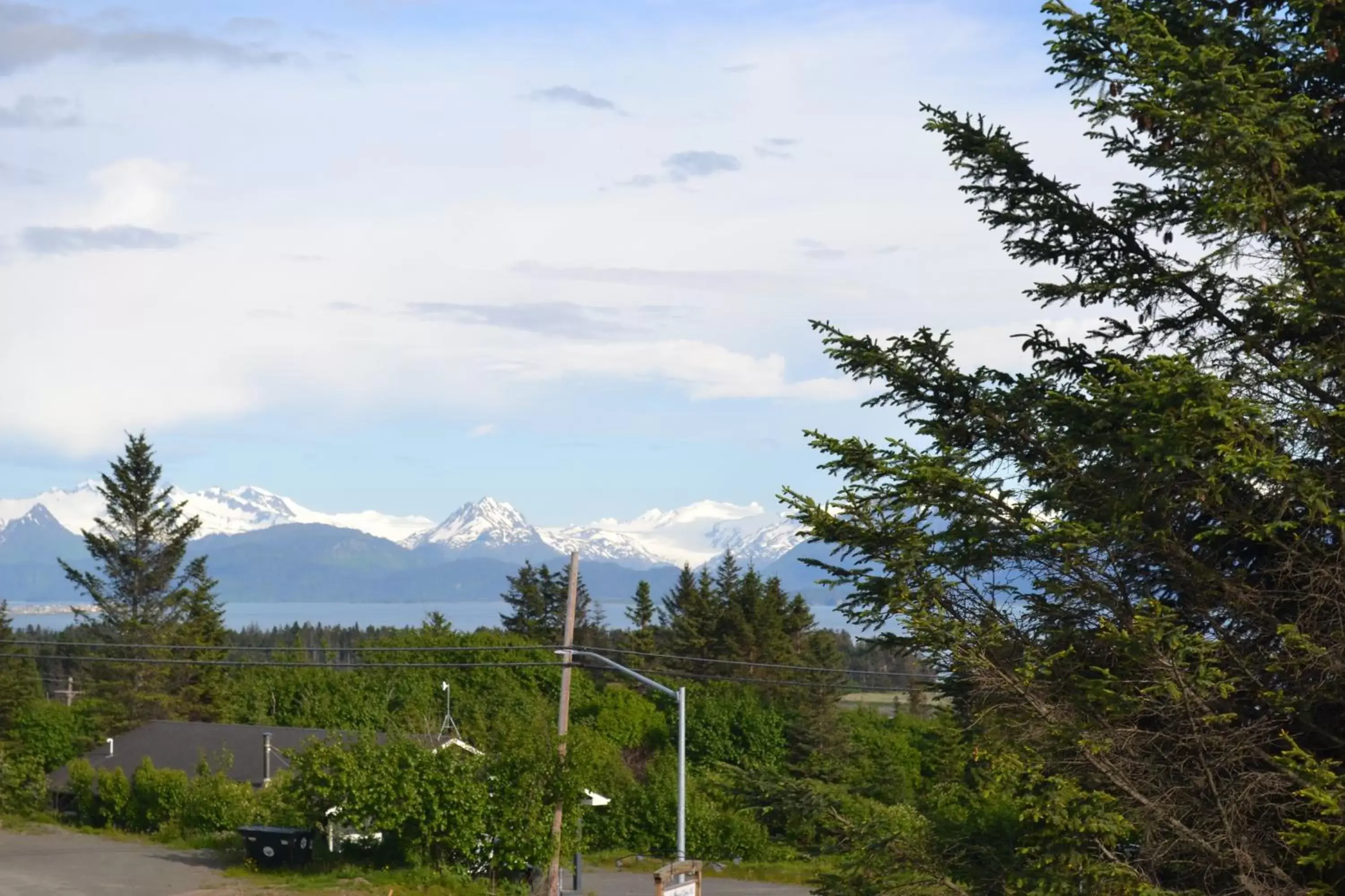 Natural landscape in Pioneer Inn Downtown