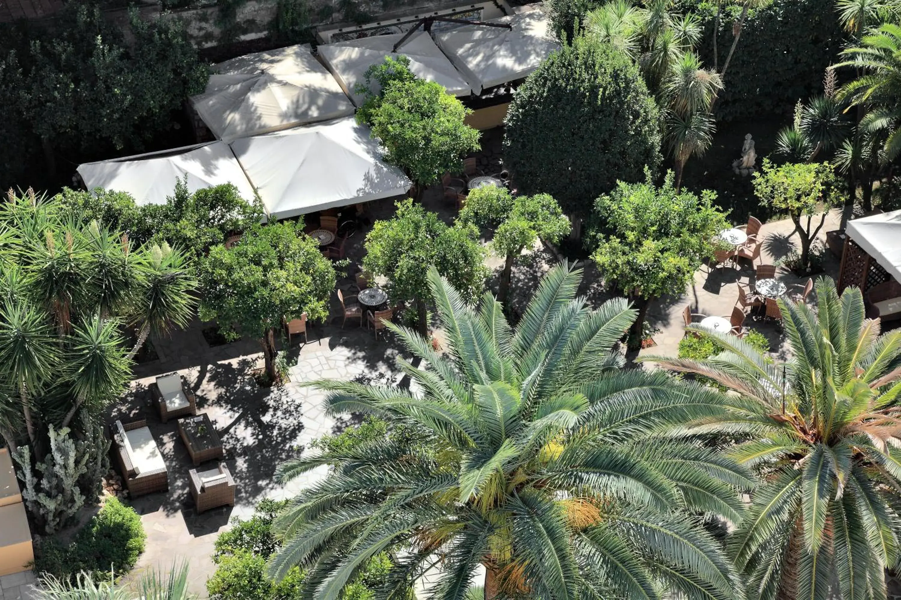 Garden view, Bird's-eye View in Hotel Mediterraneo