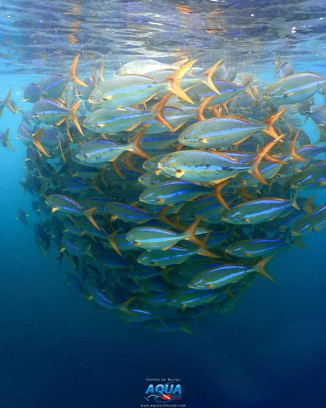 Natural landscape in Posada Turística Rocas De Cabo Marzo