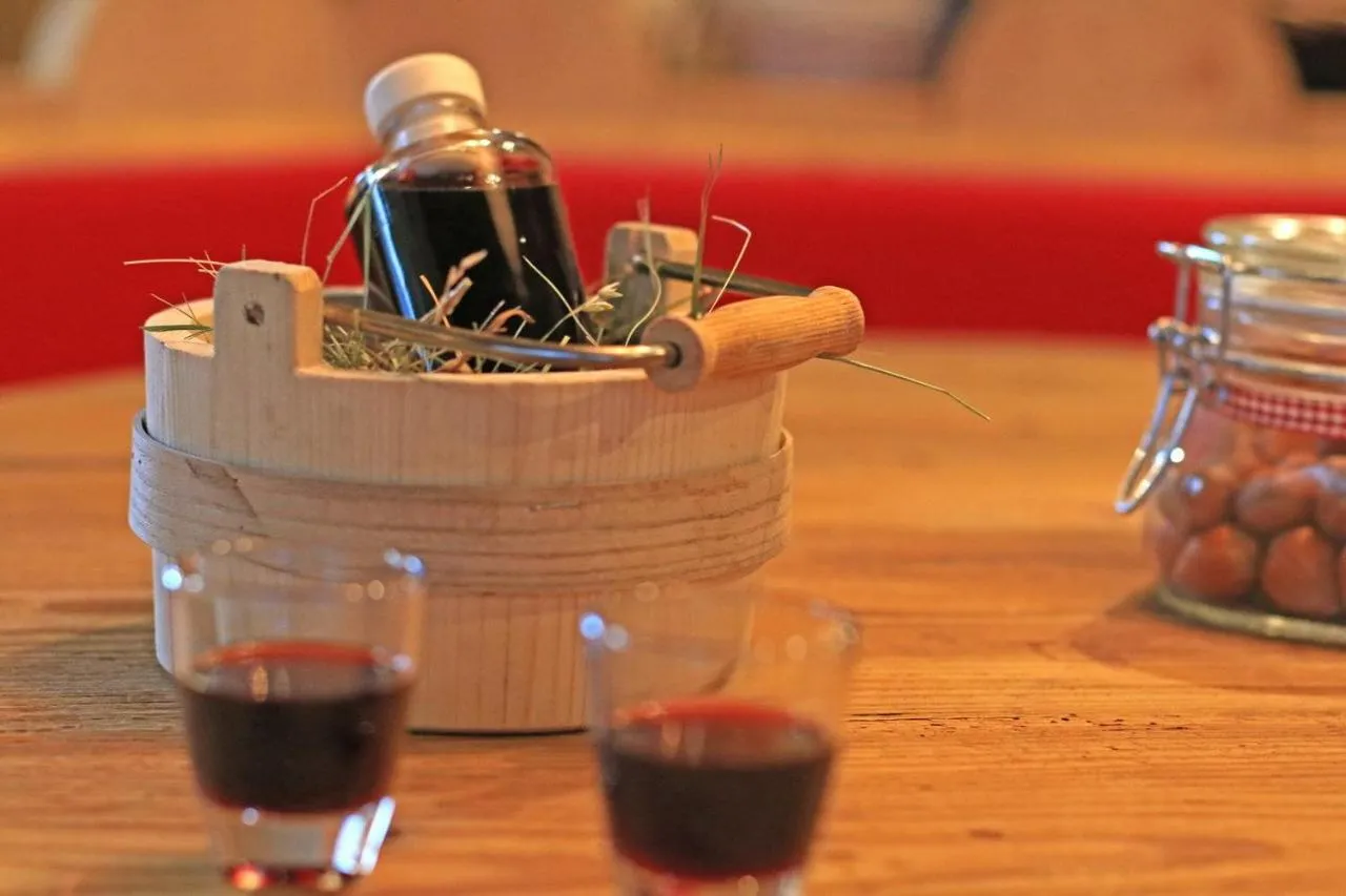 Alcoholic drinks in Garnì Ladin