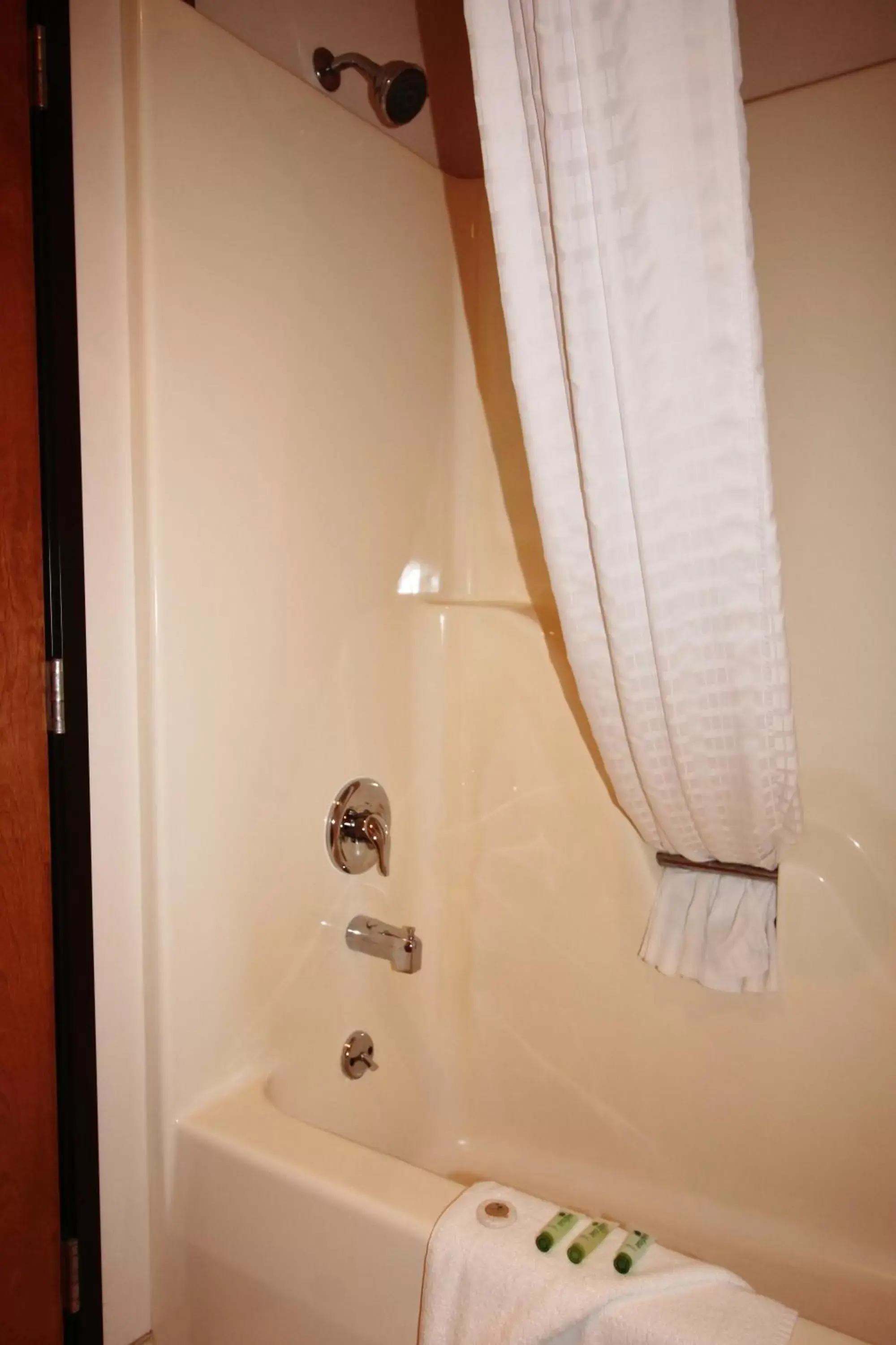 Bathroom in Homestead Inn and Suites