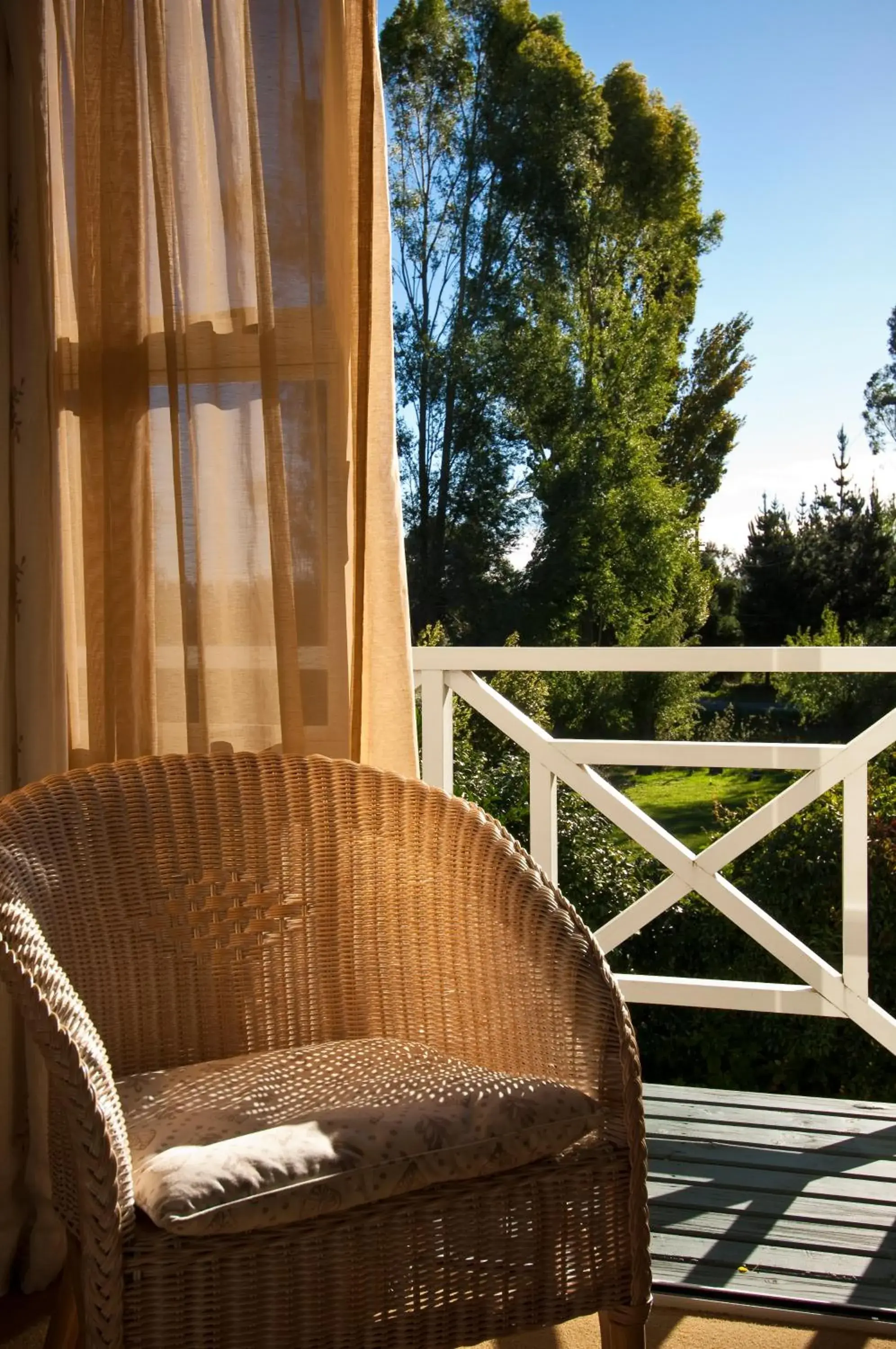 Garden view in The Peppertree Luxury Accommodation