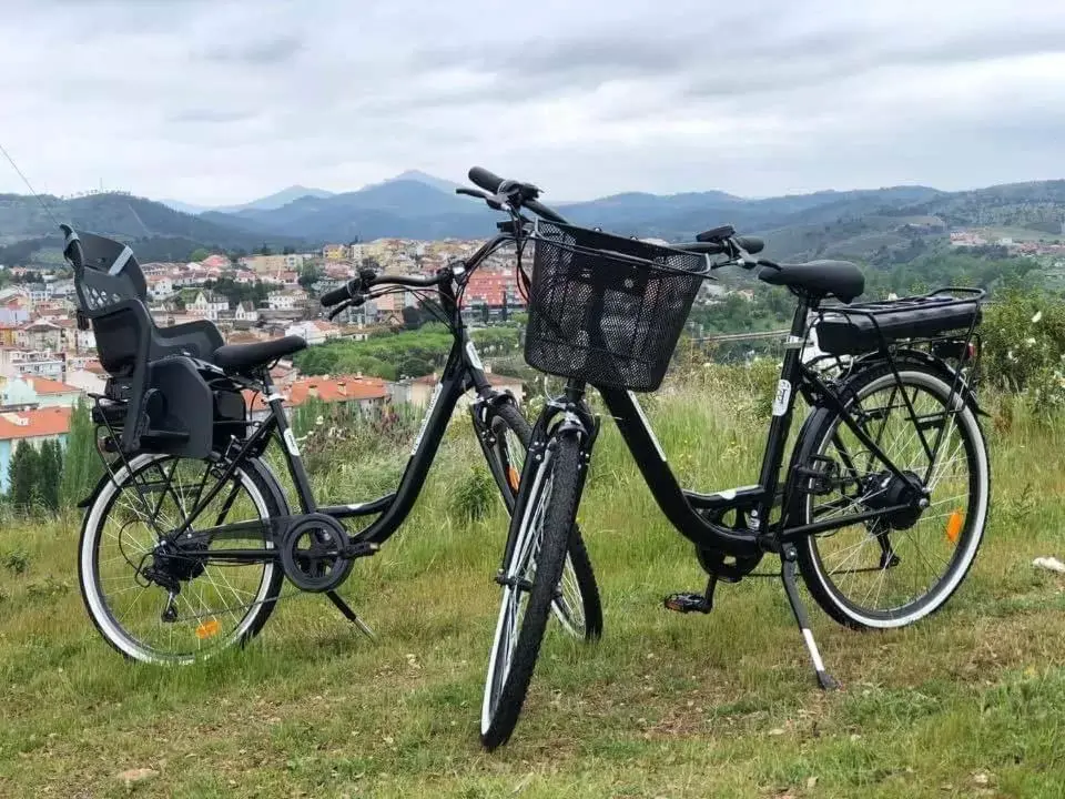 Biking in Ribeira House