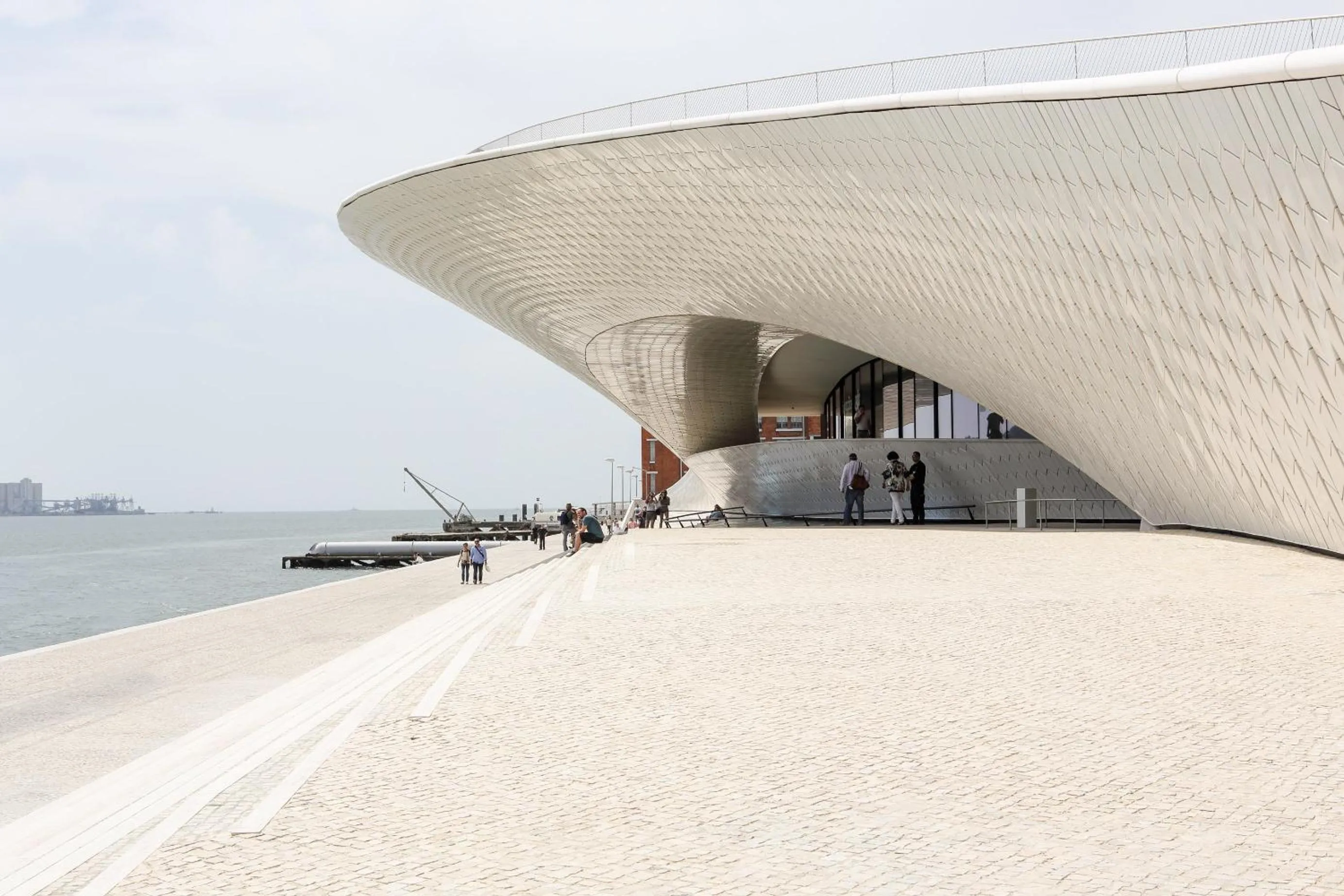 Famous Crows Lisbon Suites