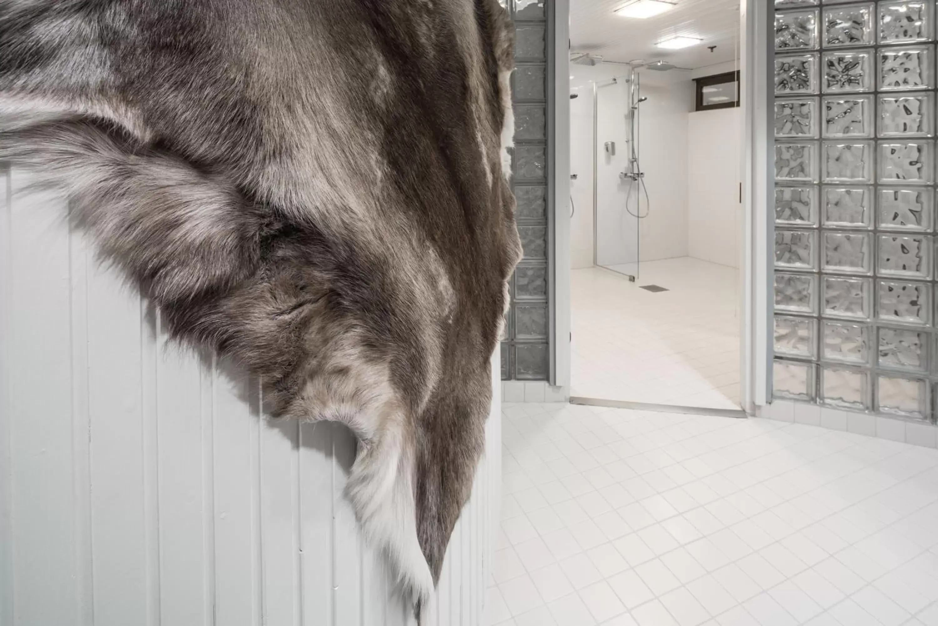 , Pets in Lapland Hotels Oulu