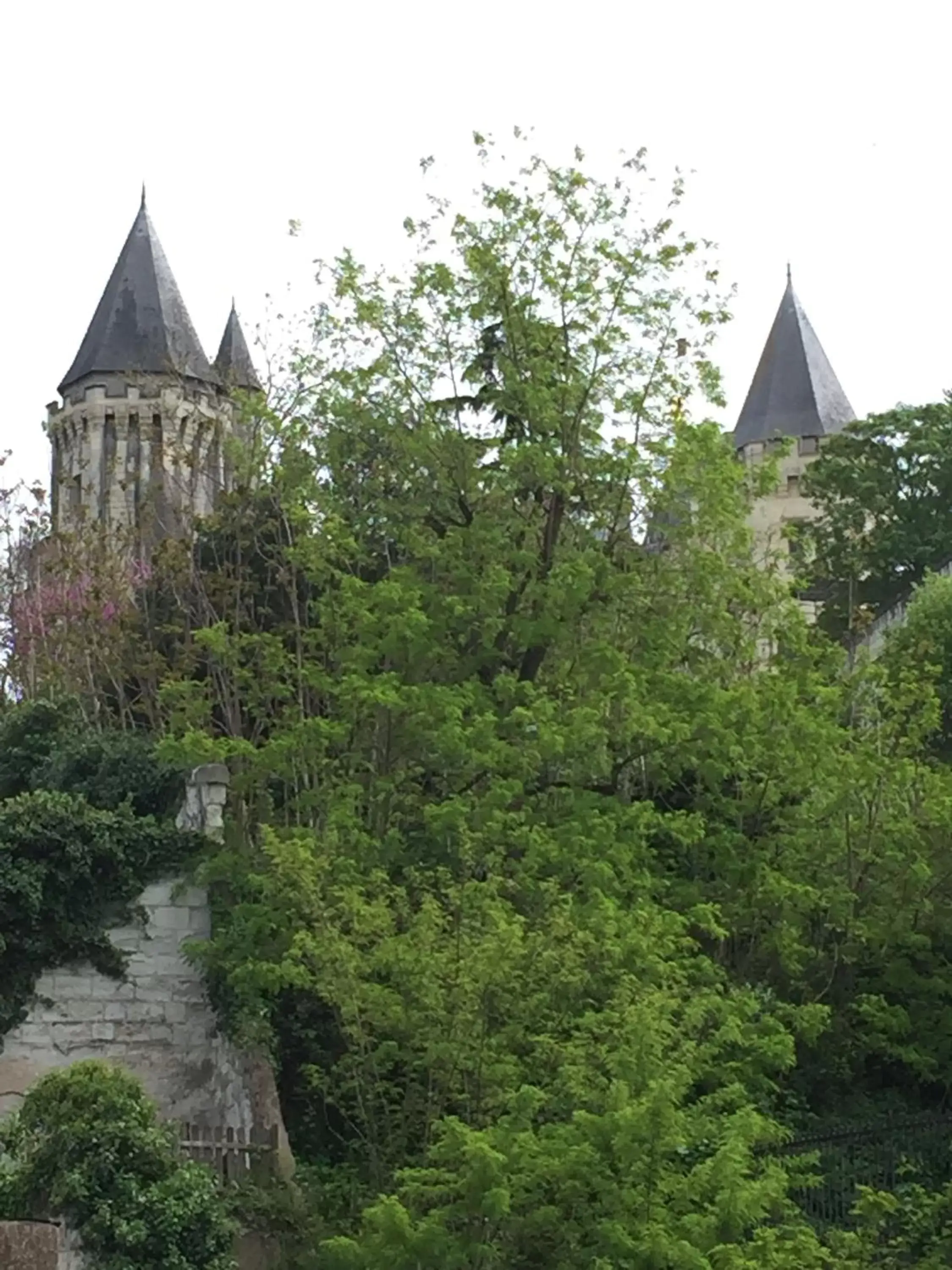 View (from property/room) in Hôtel St Pierre