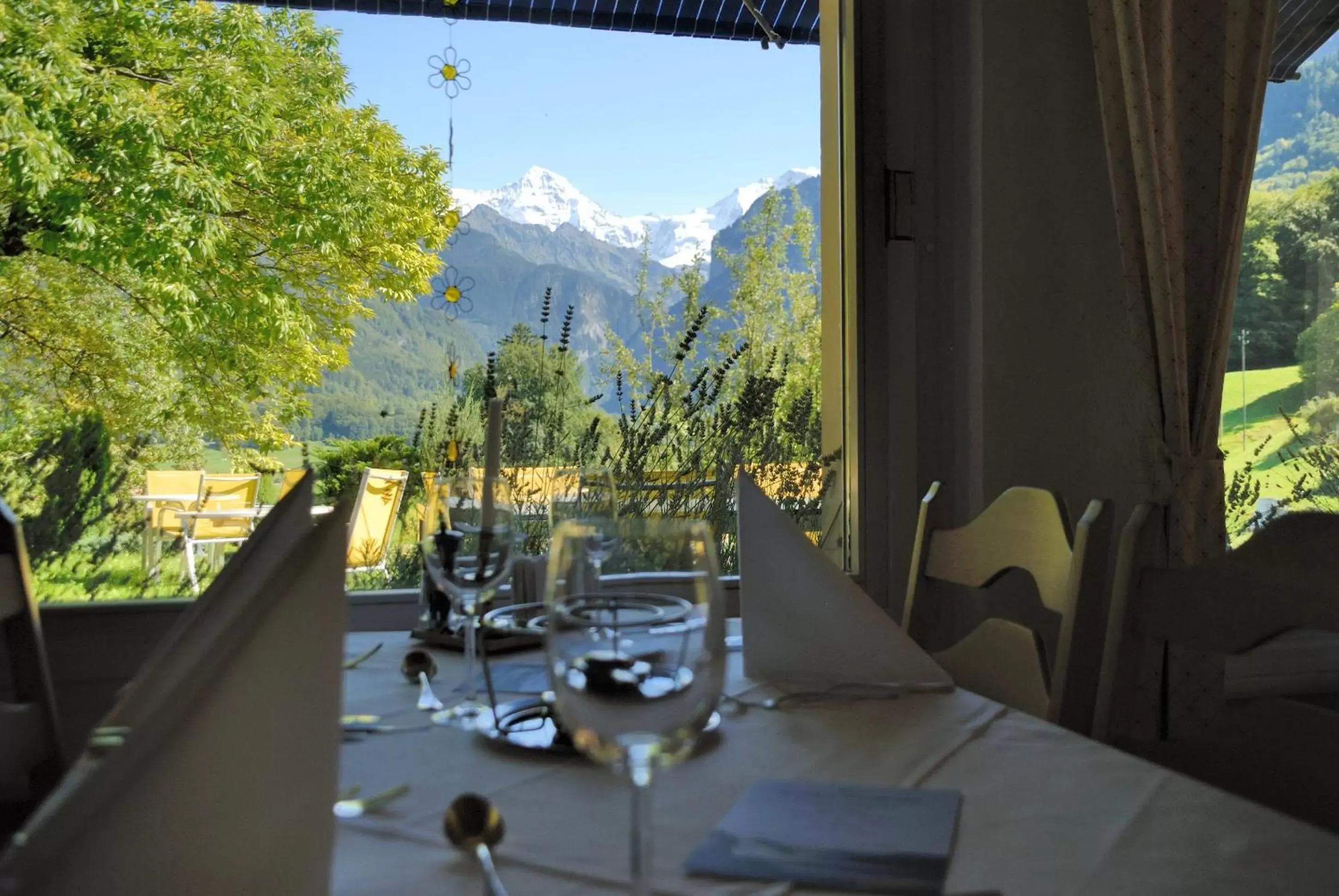Restaurant/Places to Eat in Hotel Berghof Amaranth