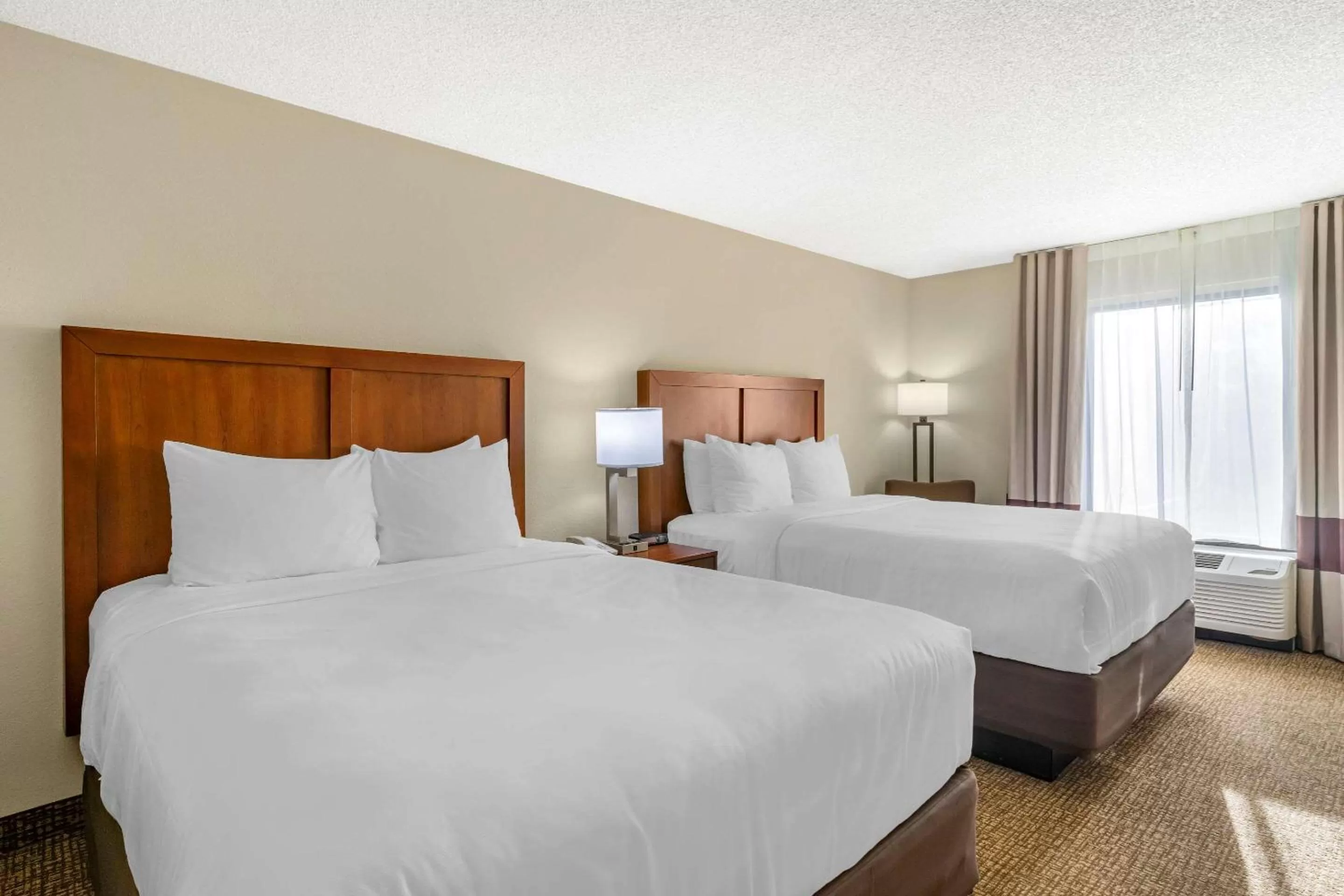 Photo of the whole room, Bed in Comfort Inn & Suites St Pete - Clearwater International Airport