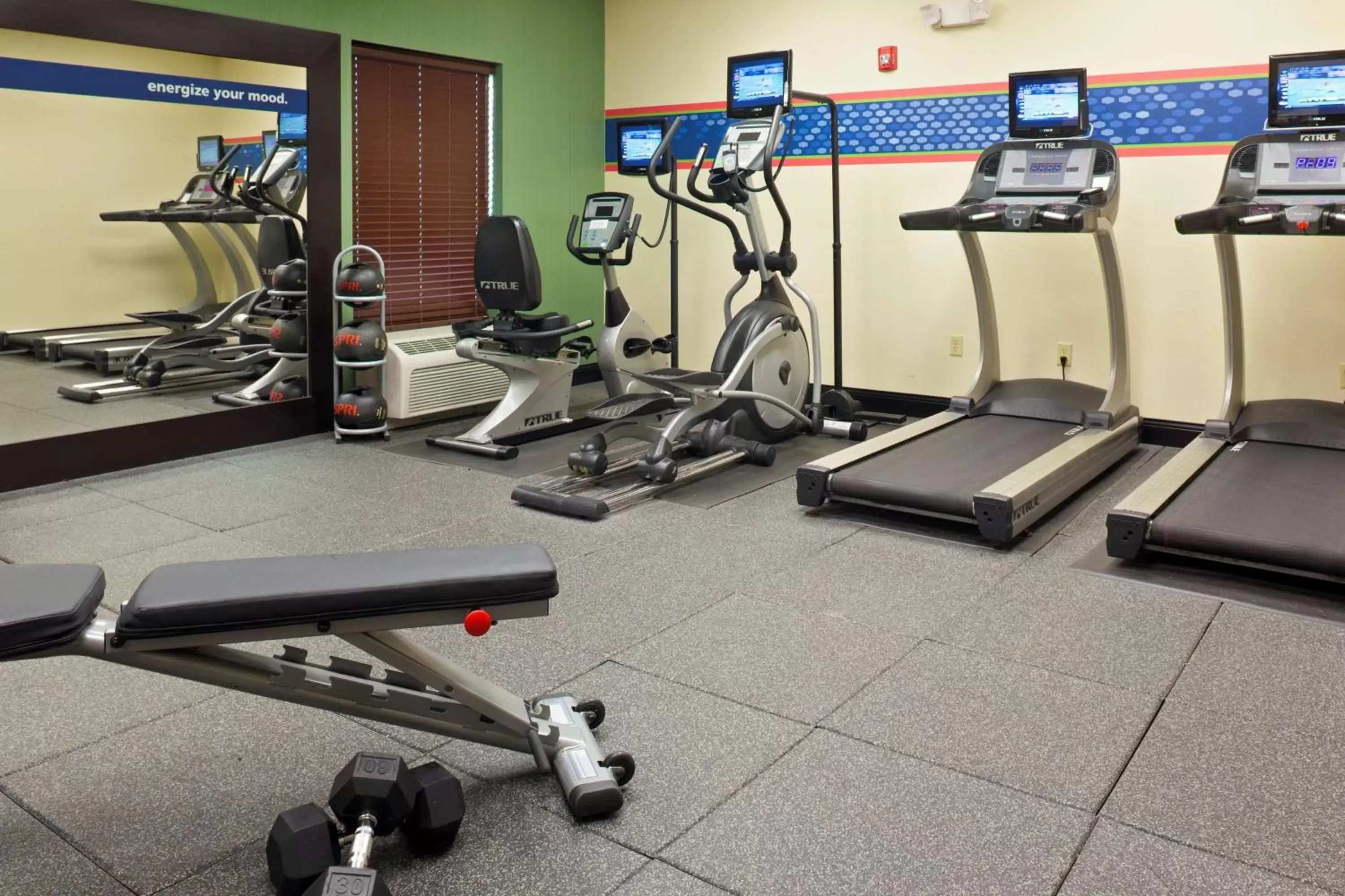 Fitness centre/facilities, Fitness Center/Facilities in Hampton Inn and Suites - Lincoln Northeast