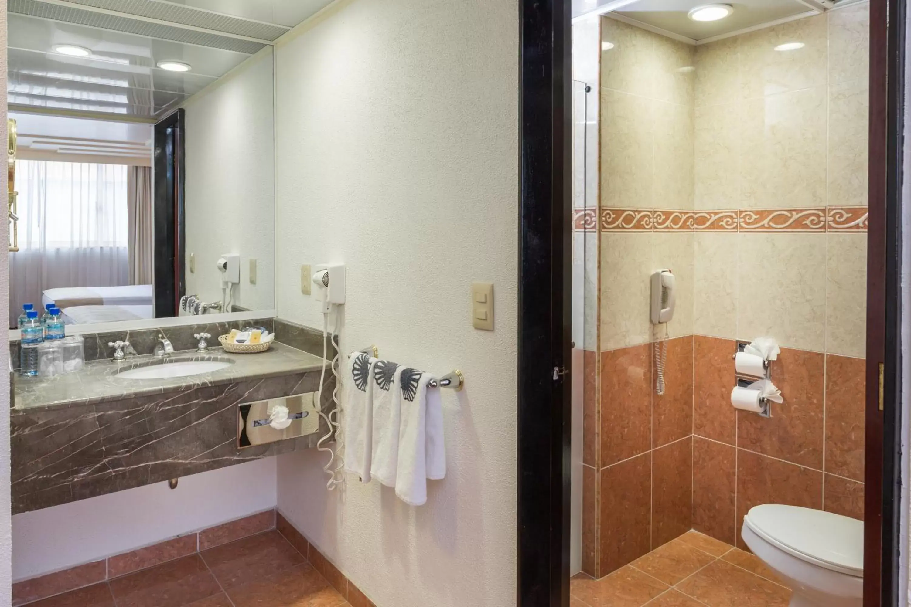 Staff, Bathroom in Hotel Estoril