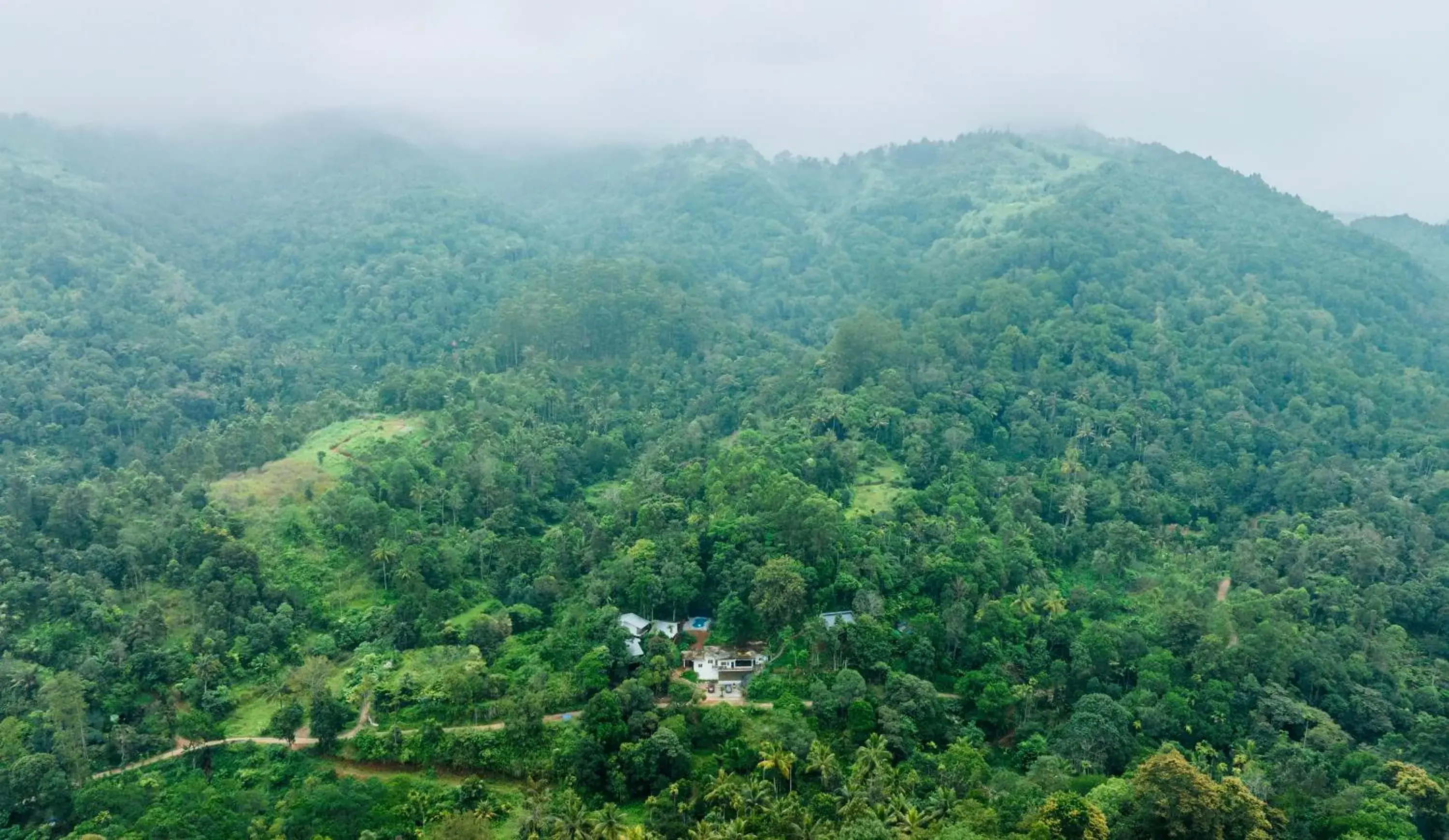 Day, Bird's-eye View in Wild Poetry