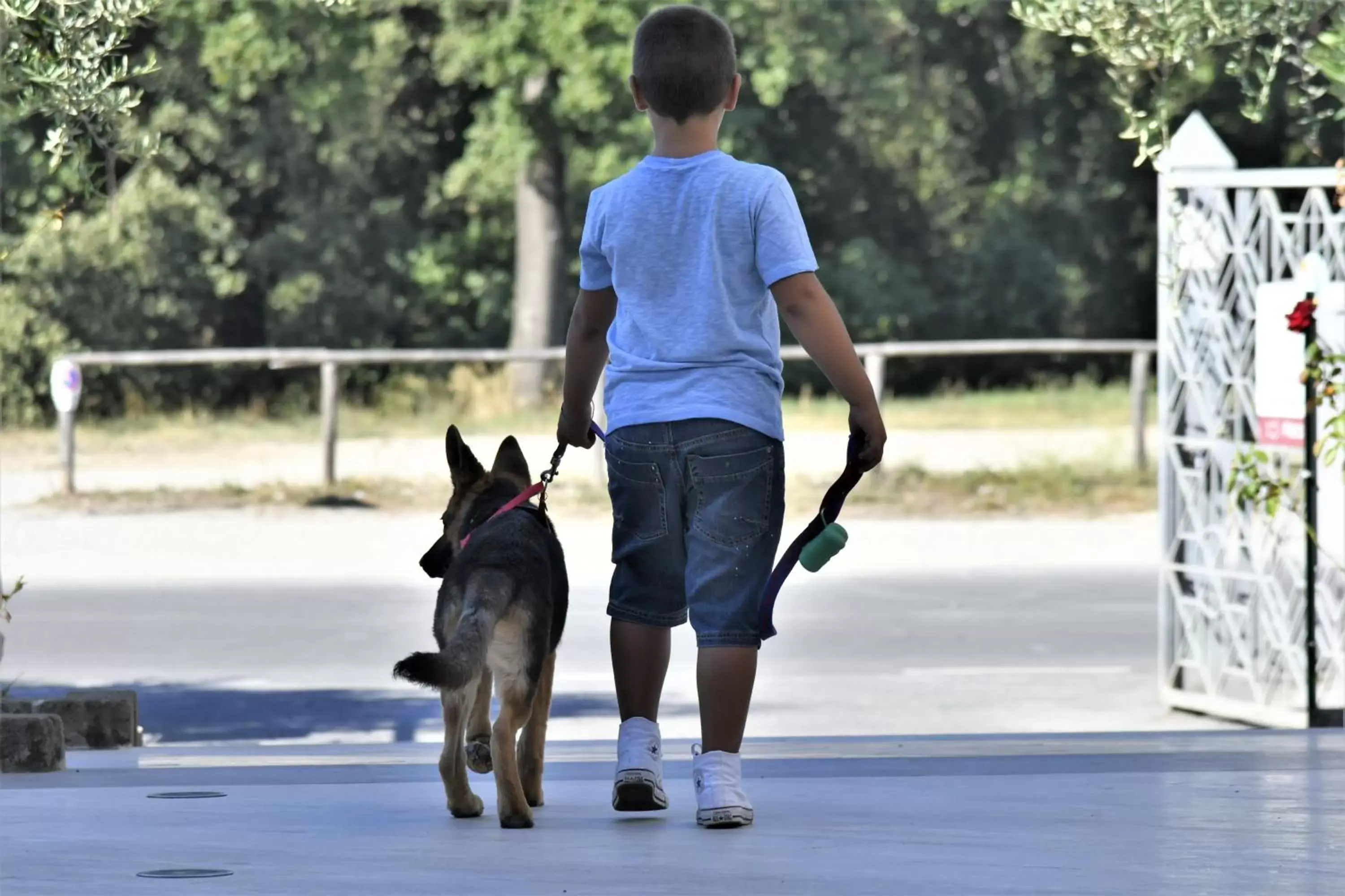 Pets in Le Residenze di Santa Costanza - Mirto/Corbezzolo