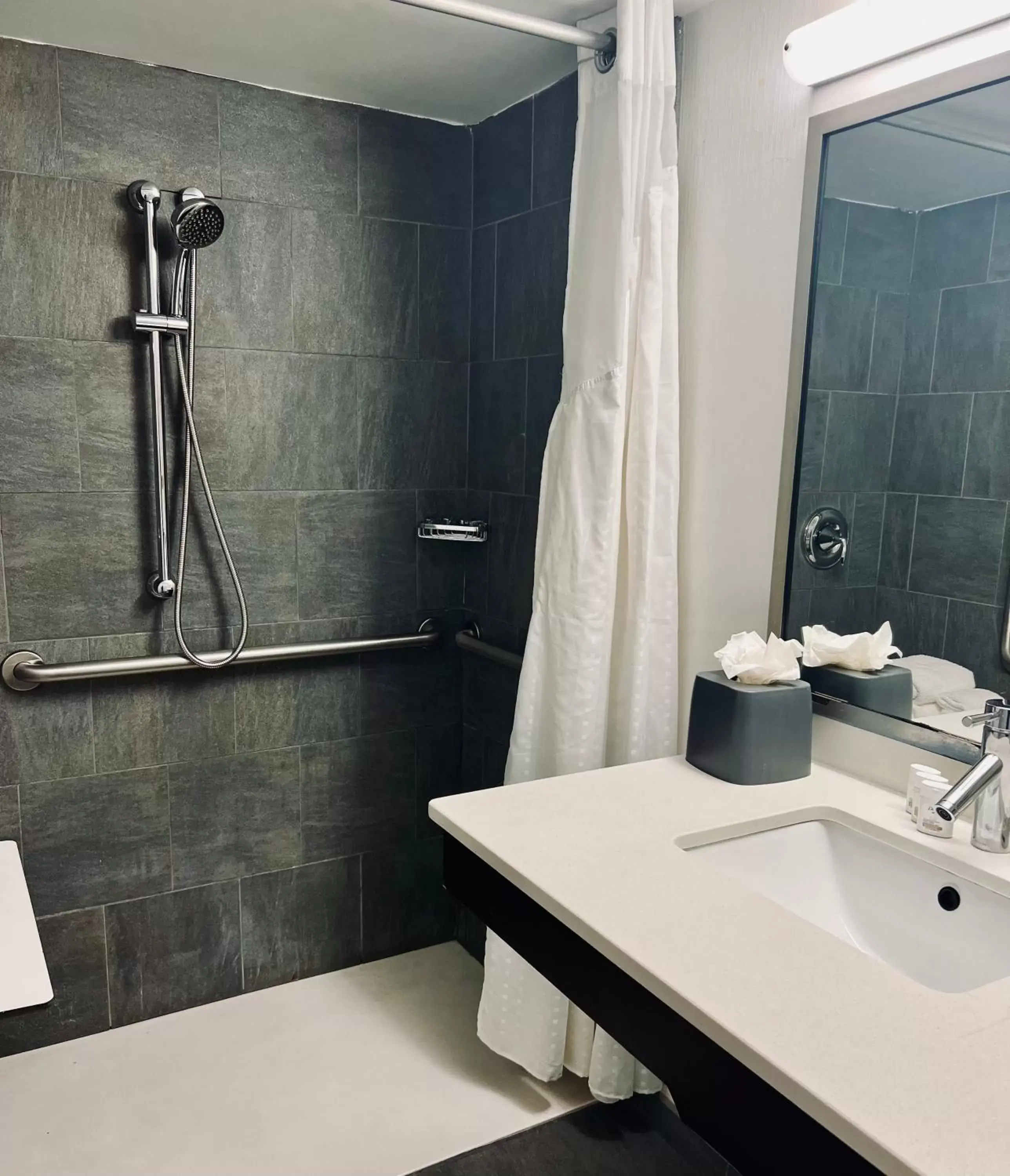 Shower, Bathroom in Holiday Inn Virginia Beach - Norfolk, an IHG Hotel