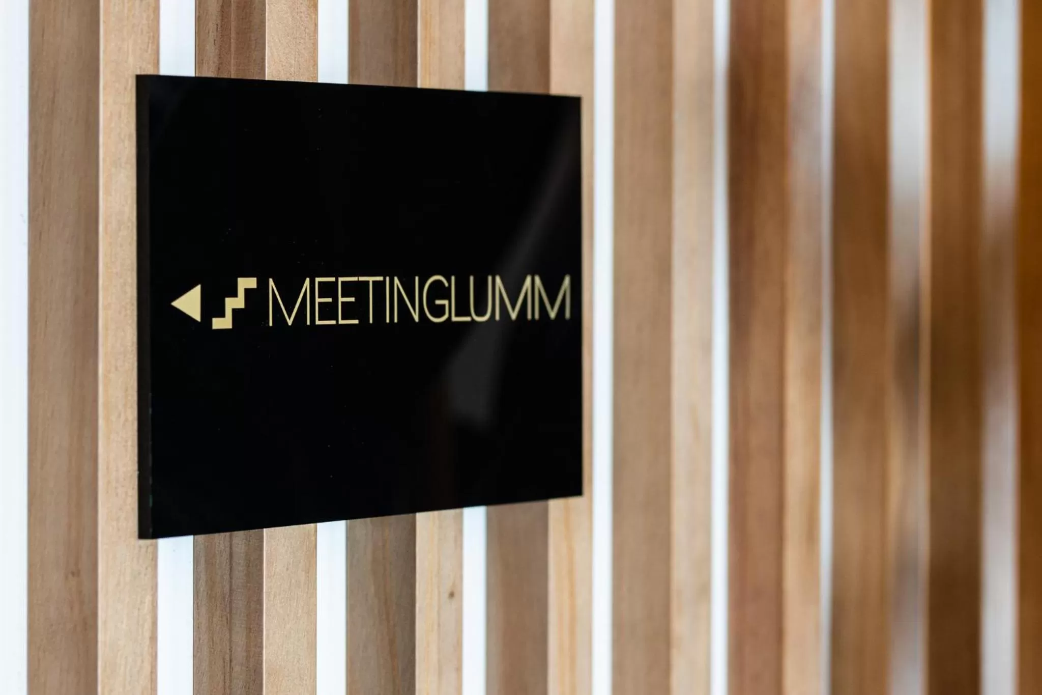 Meeting/conference room in Hotel LIVVO Lumm