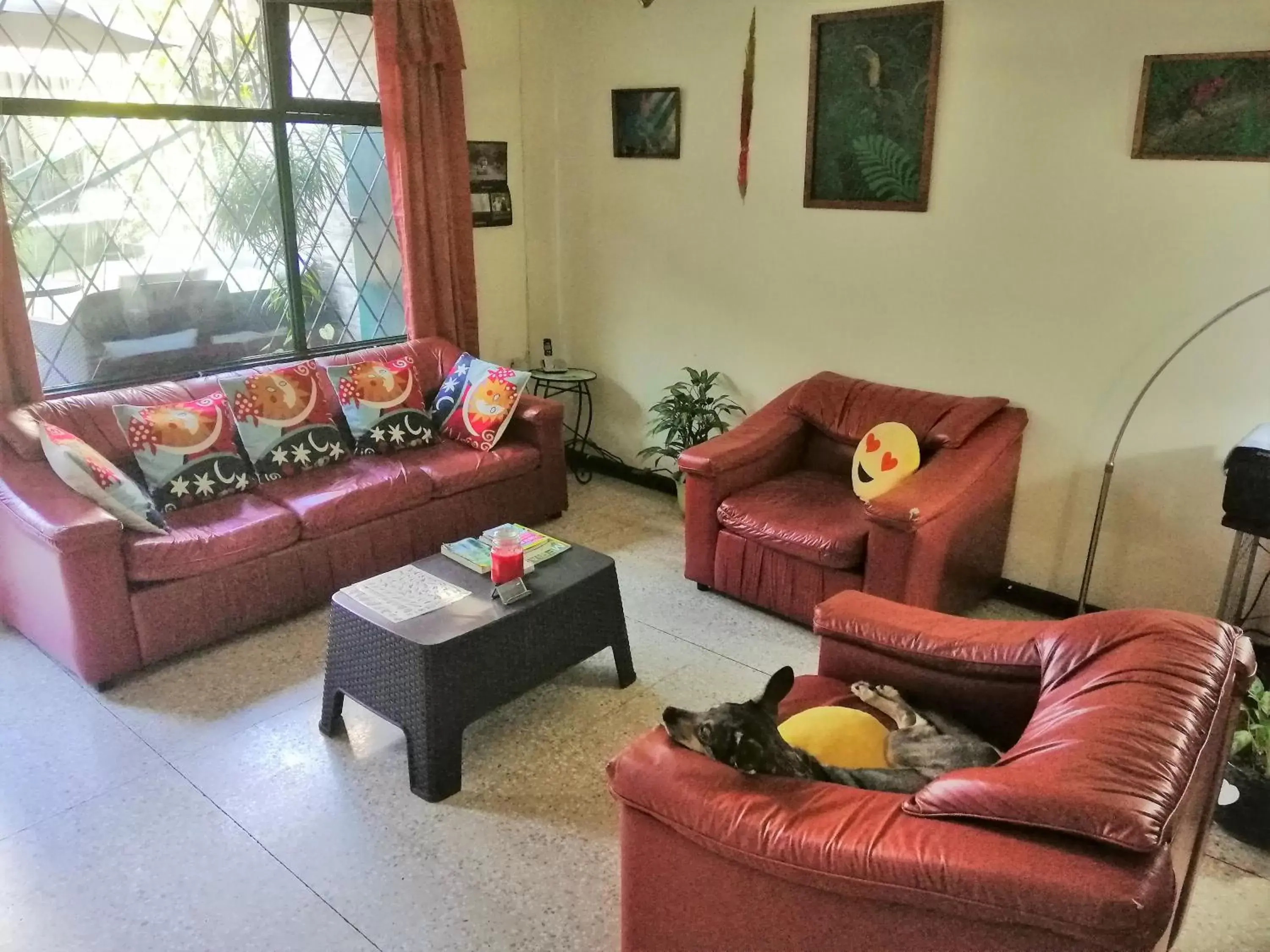 Living room, Seating Area in Casa Leon Guesthouse