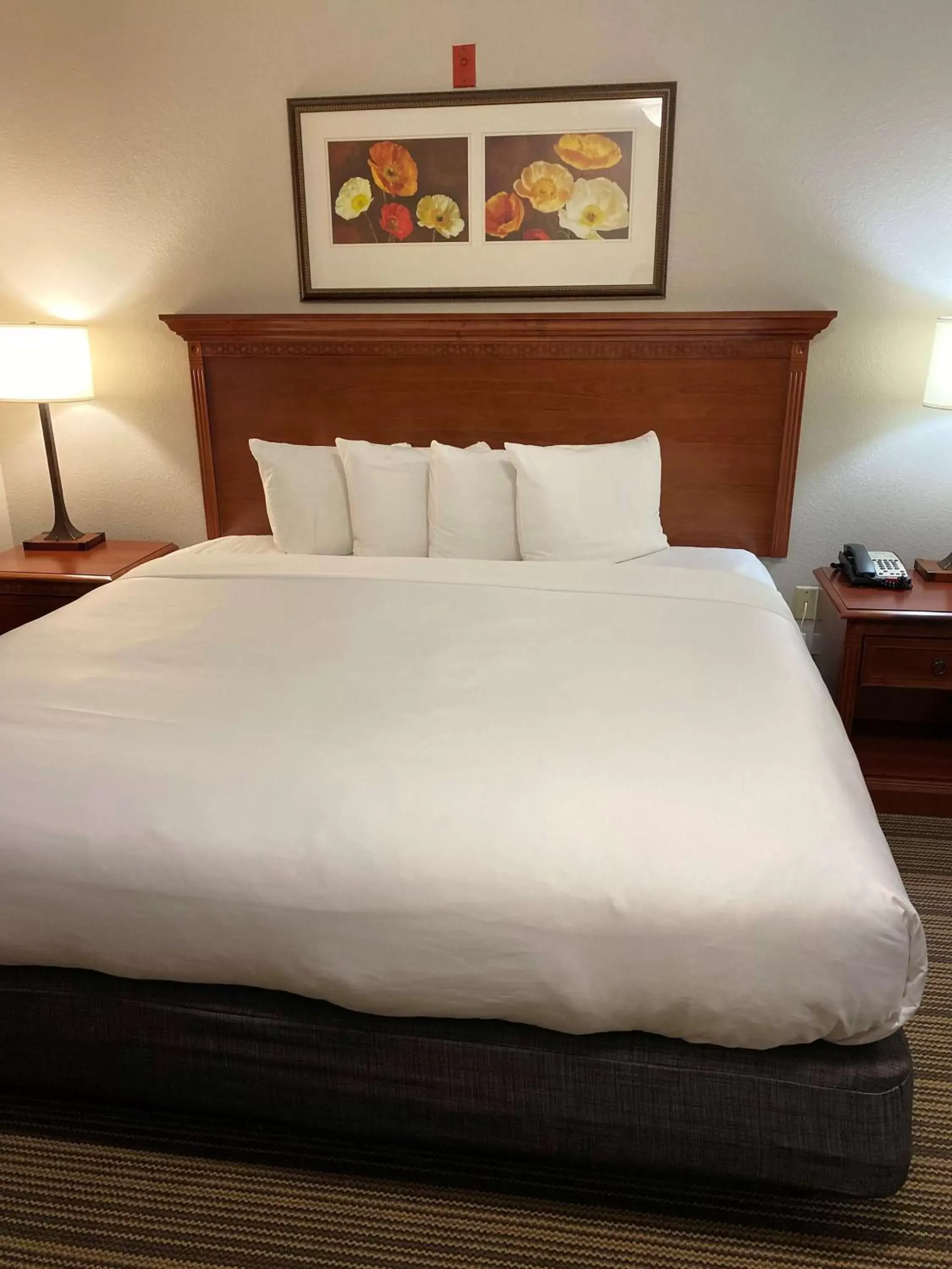 Photo of the whole room, Bed in Country Inn & Suites by Radisson, Fort Worth, TX