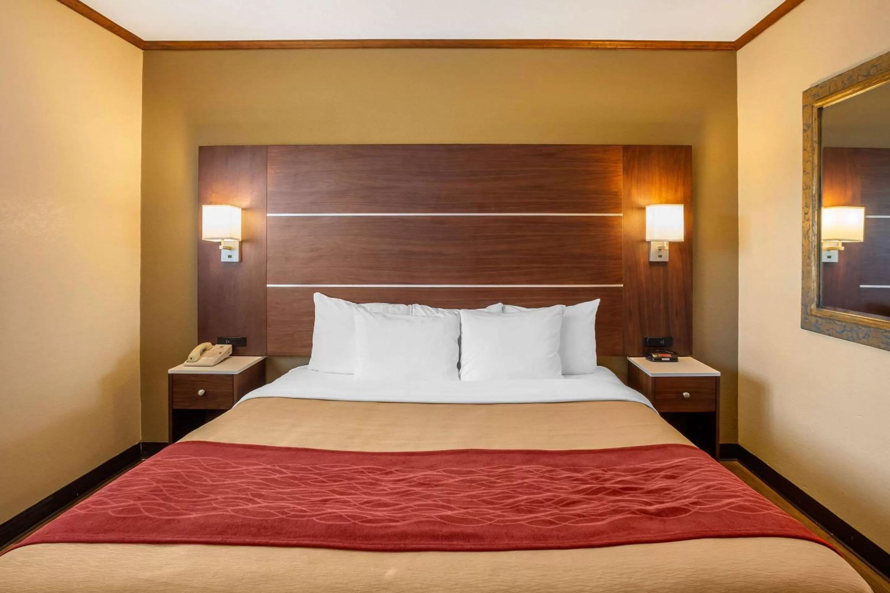 Photo of the whole room, Bed in Comfort Inn San Diego Airport At The Harbor