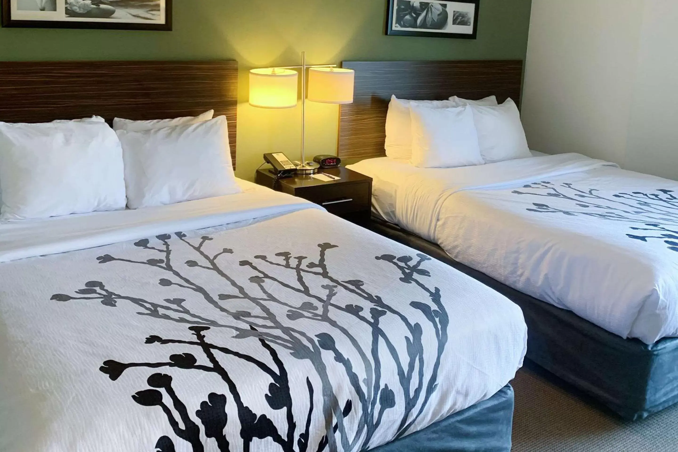 Photo of the whole room, Bed in Sleep Inn & Suites Queensbury - Lake George