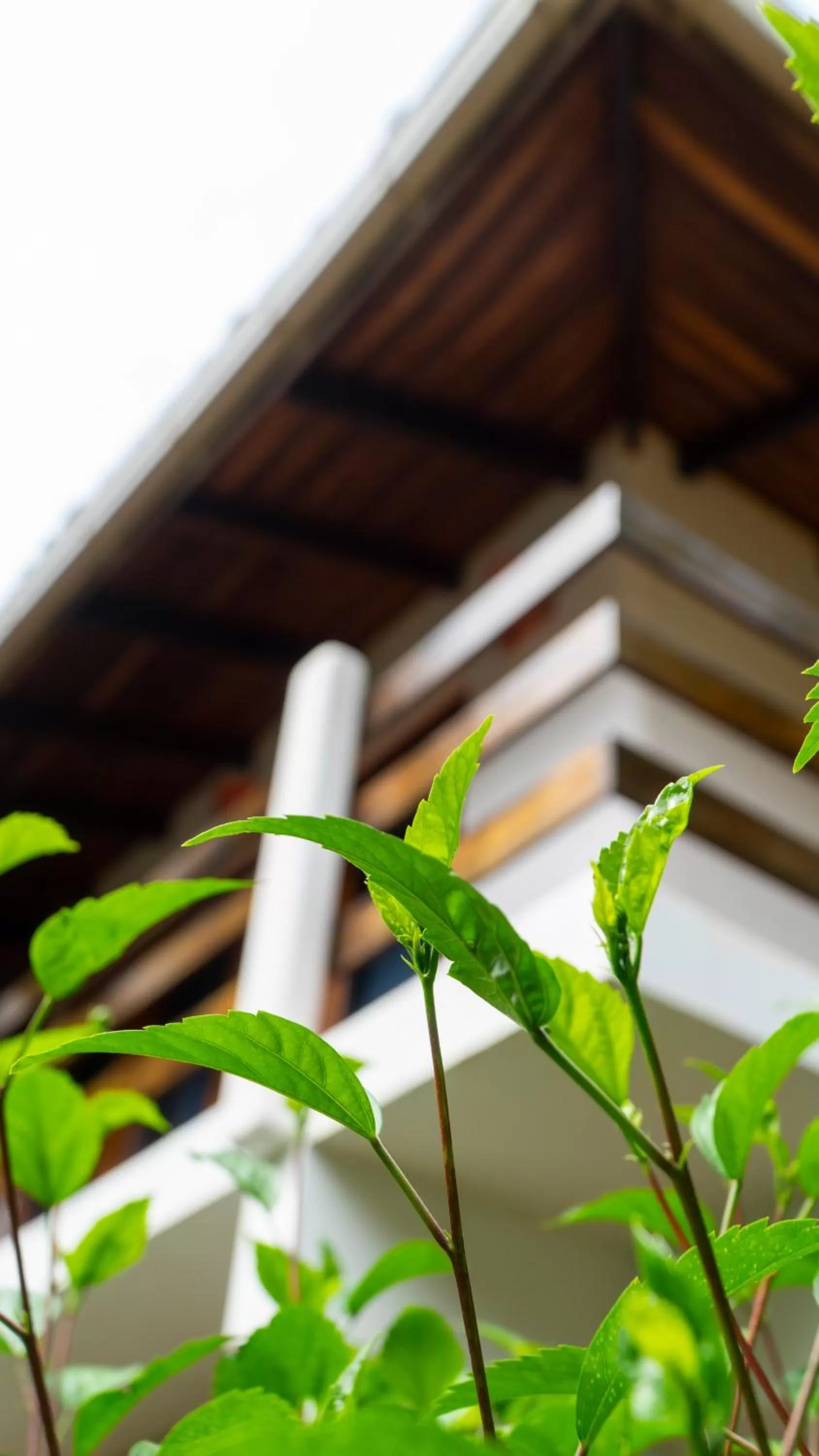 Property building in Hotel Luna Llena