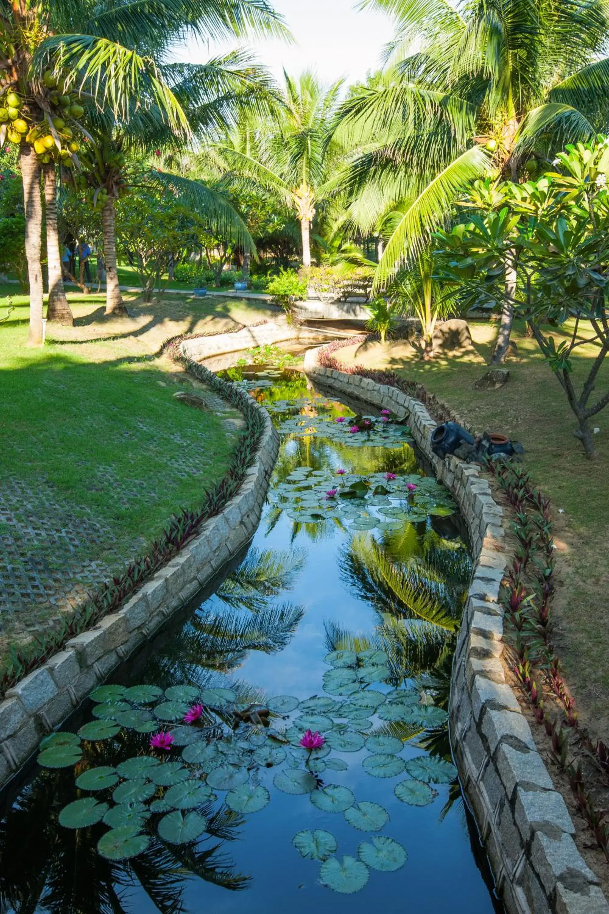 Lake view, Garden in Pandanus Resort