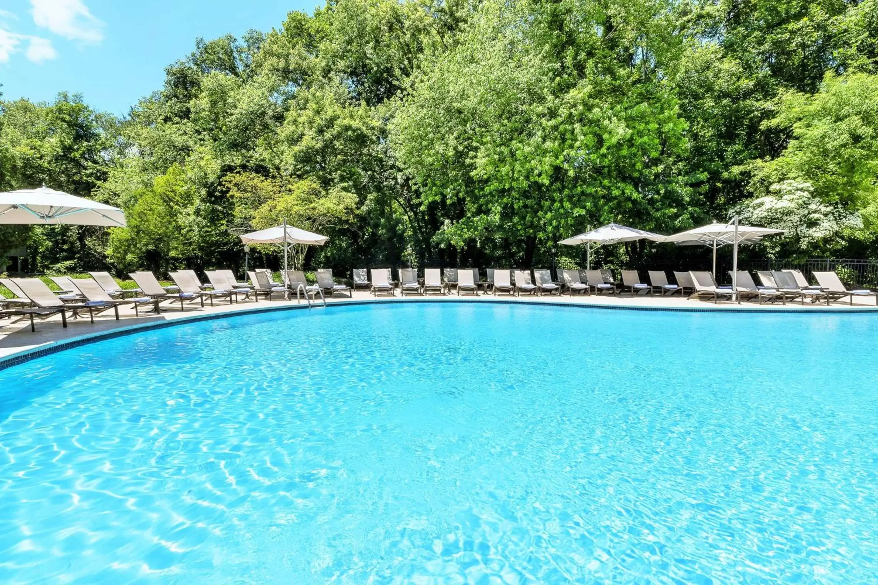 Pool view in Hilton Short Hills Pool view in Hilton Short Hills