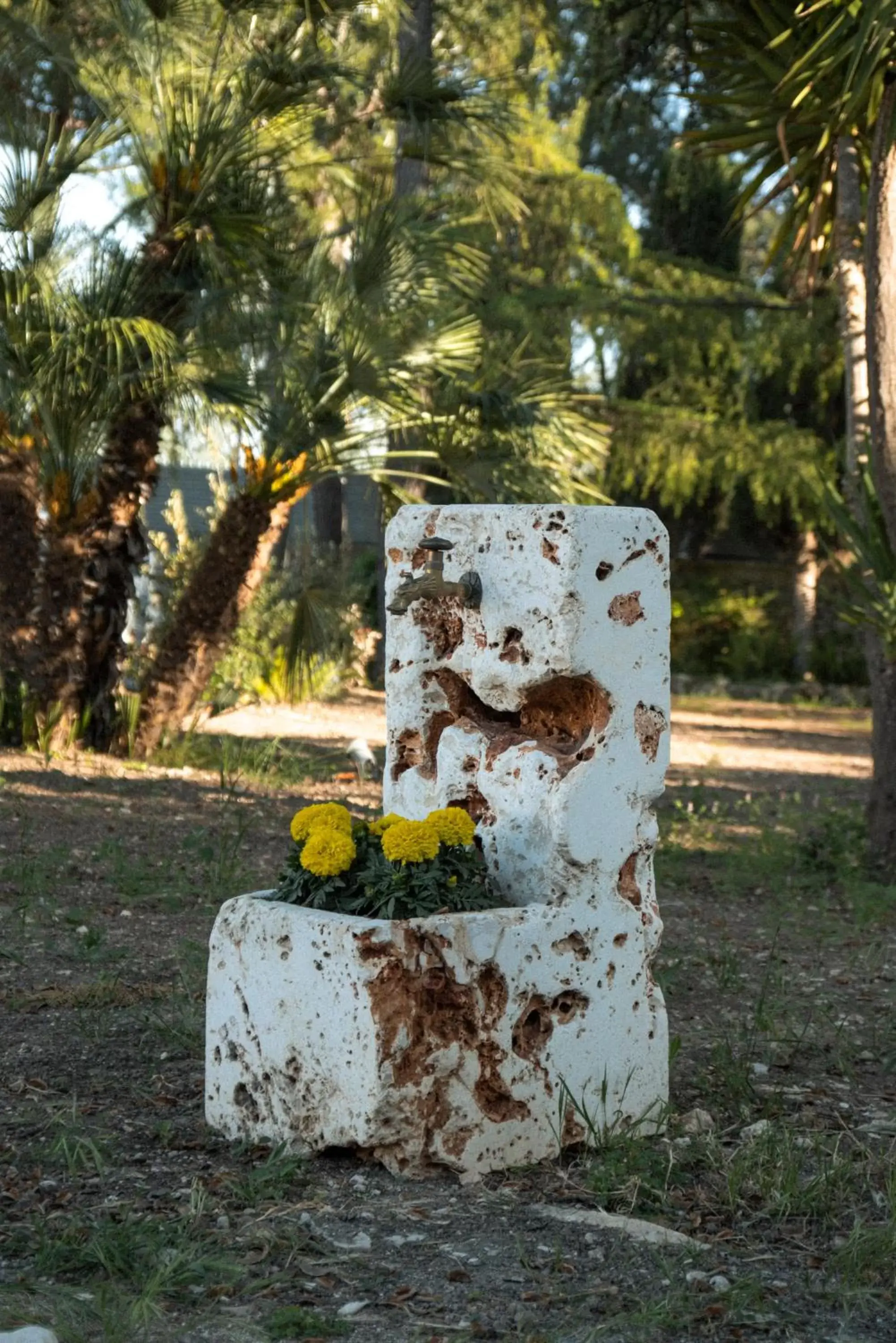 Garden in Otto Apulia House